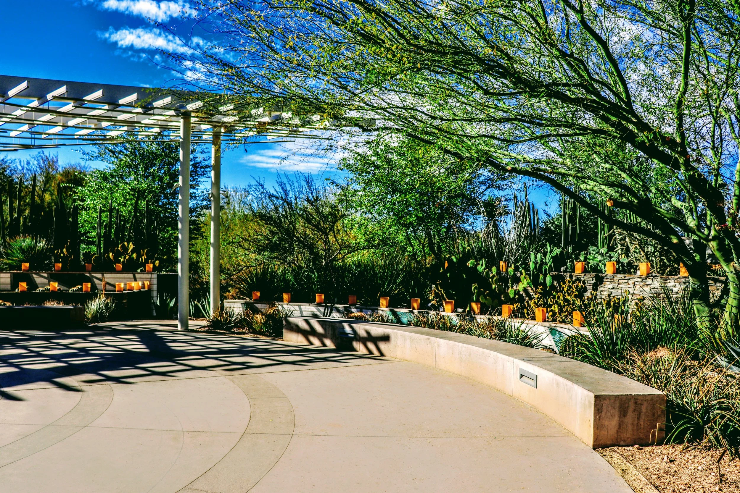 Desert Botanical Garden Phoenix Arizona by MychaelX.p6otos 001570c.JPG