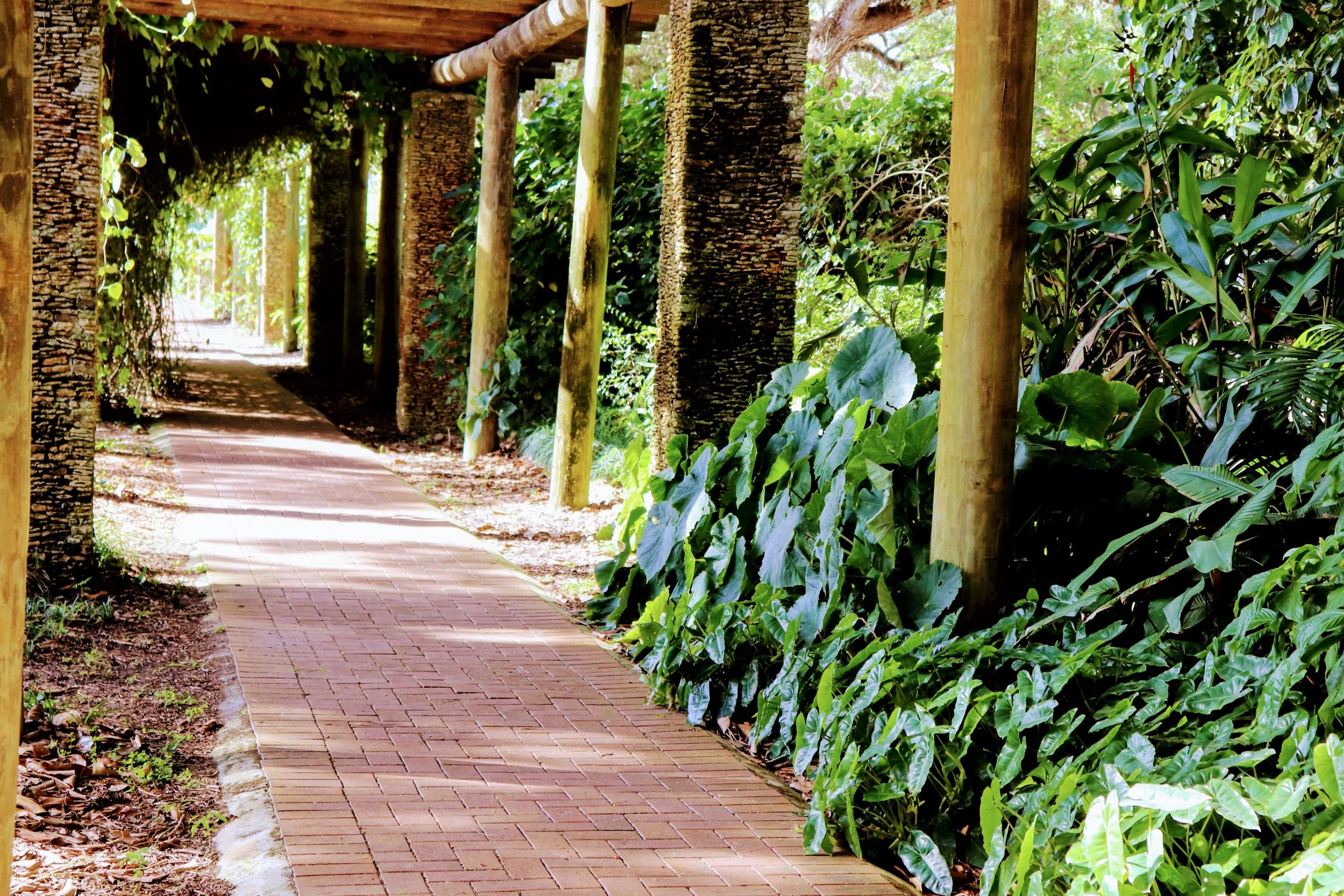 Fairchild Tropical Botanic Garden Miami Florida by MychaelX.photos 00075.JPG