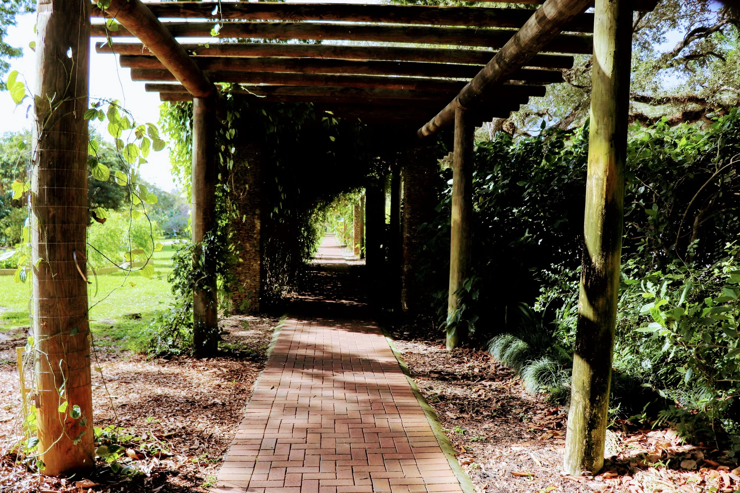 Fairchild Tropical Botanic Garden Miami Florida by MychaelX.photos 00066.JPG