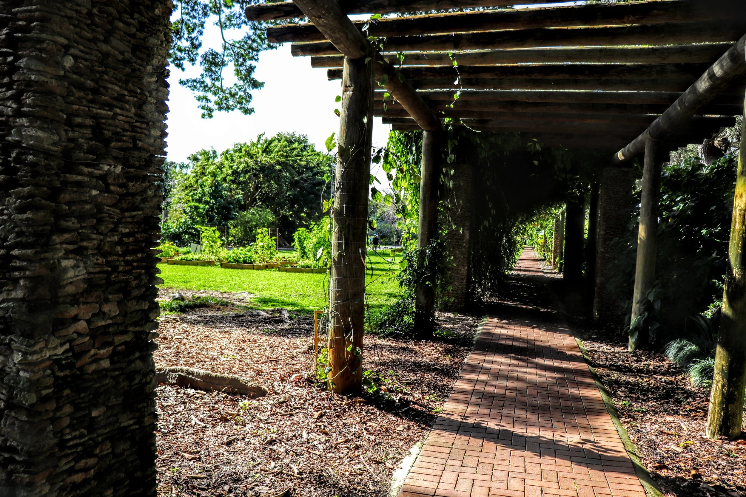 Tropical Botanic Garden by MychaelX.photos  204.JPG