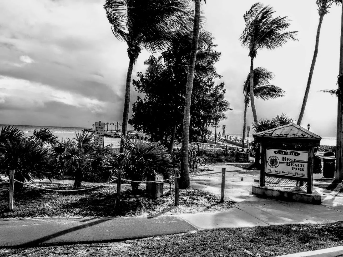 Key West Miami Florida by Mych7elX.photos 00134.JPG