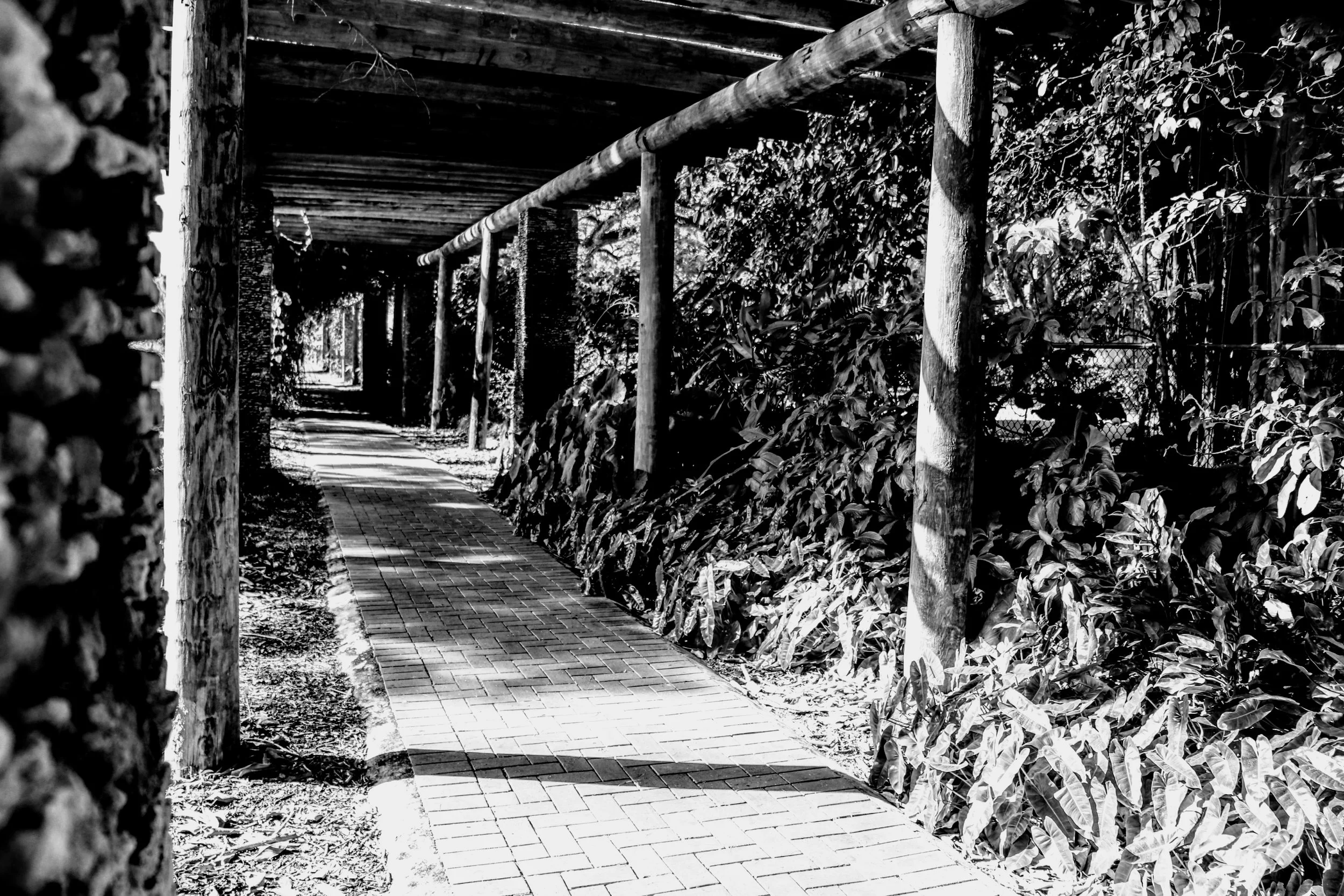 Tropical Botanic Garden by MychaelX.photos  200.JPG