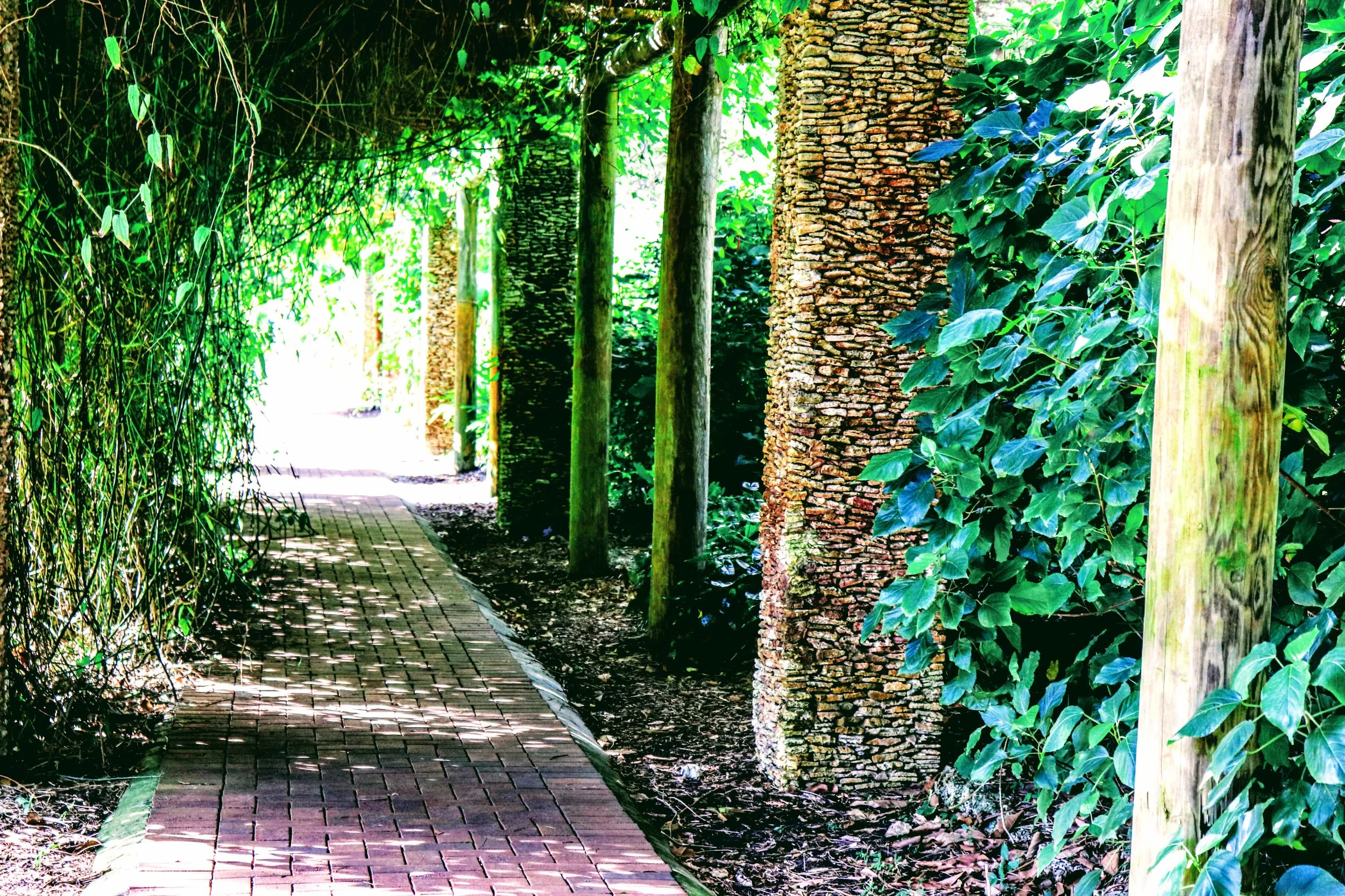 Tropical Botanic Garden by MychaelX.photos  202.JPG