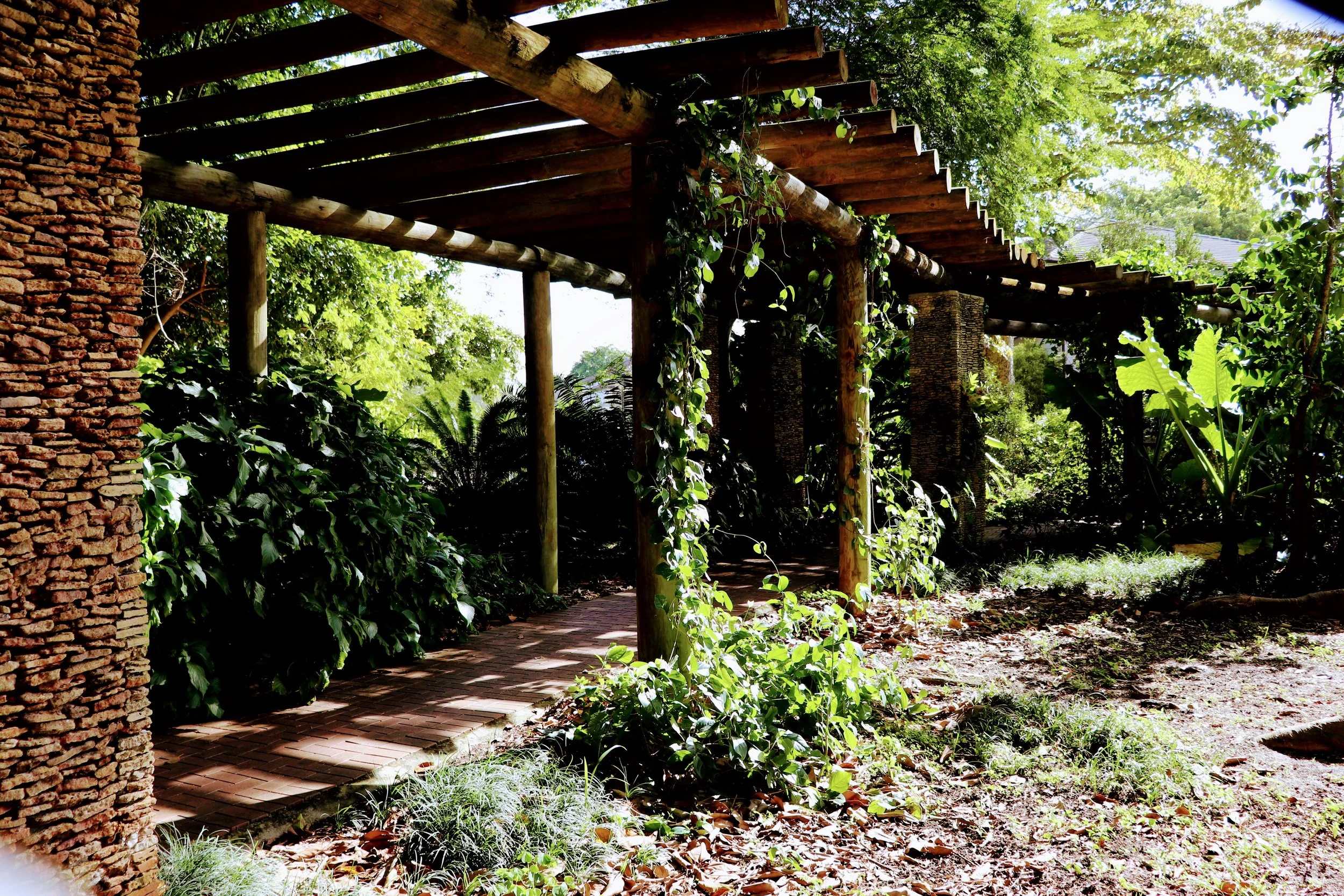 Fairchild Tropical Botanic Garden Miami Florida by MychaelX.photos 00071.JPG