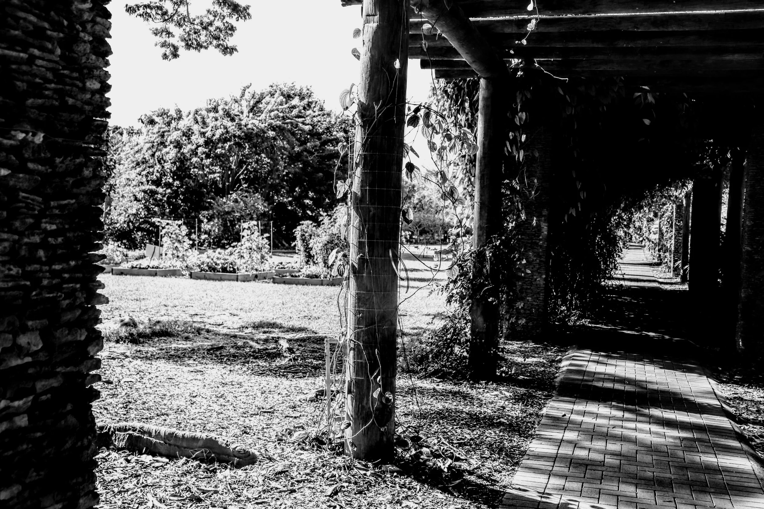 Tropical Botanic Garden by MychaelX.photos  206.JPG