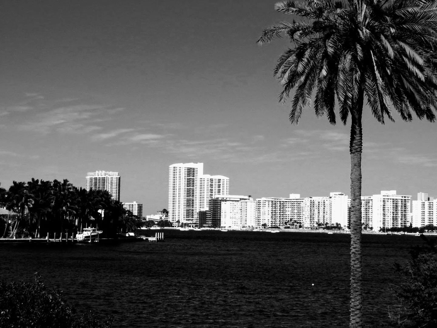 Downtown Miami Florida by MychaelX.photos 00051.JPG