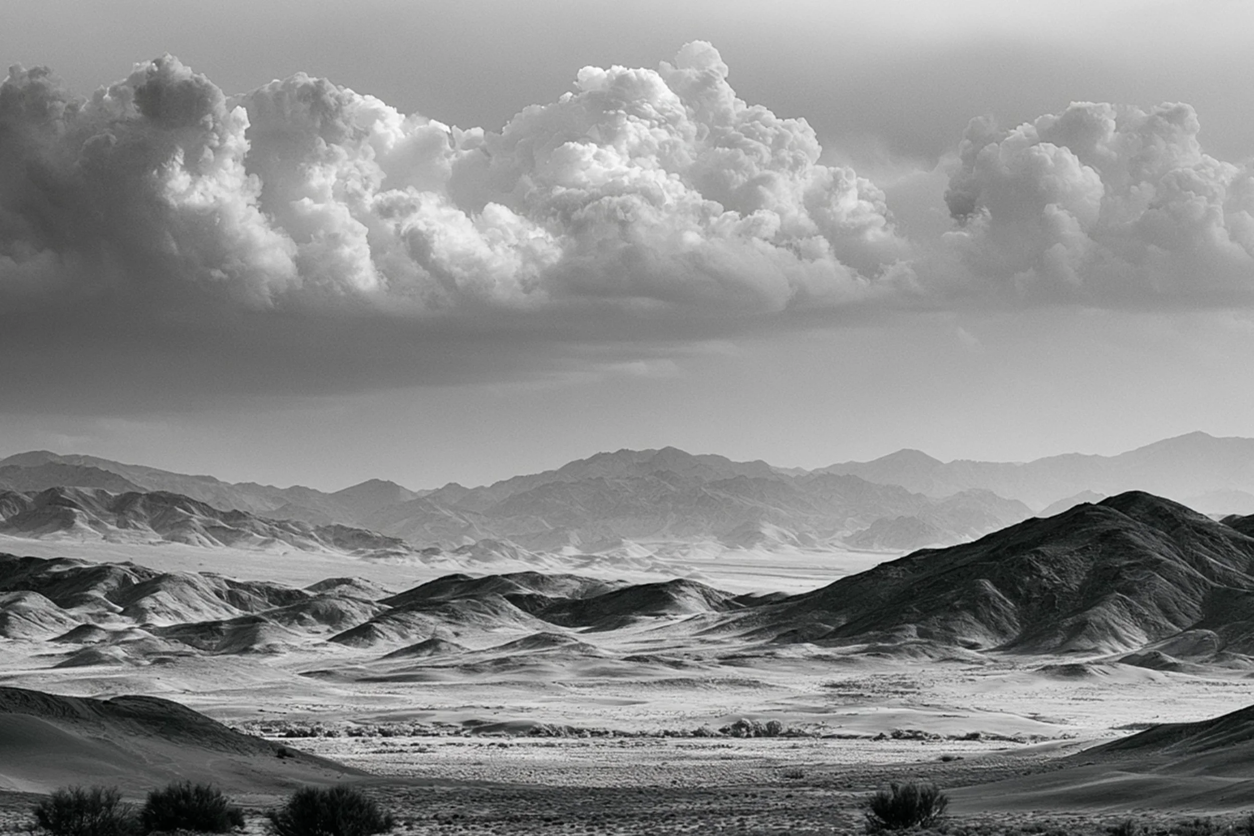 #37 BLACK & WHITE LANDSCAPE — Timeless Beauty in Every View 24W X 36H