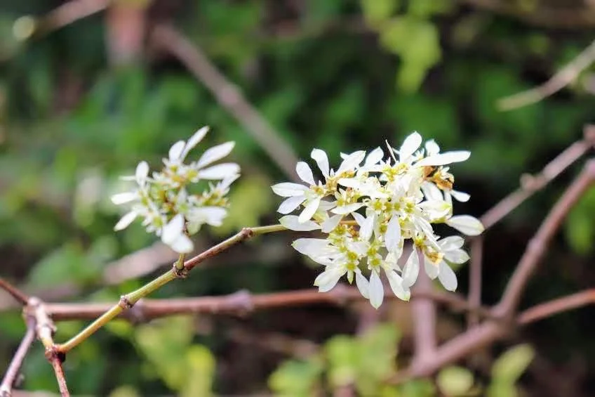 Tropical Botanic Garden by MychaelX.photos  52.JPG