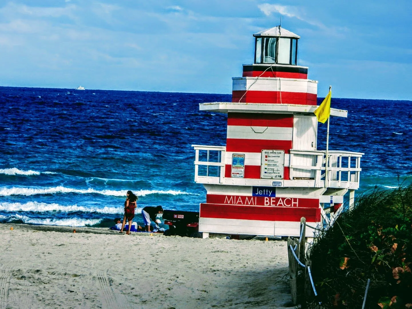 Miami Beach Marina  Miami Florida by MychaelX.photos  00430.JPG