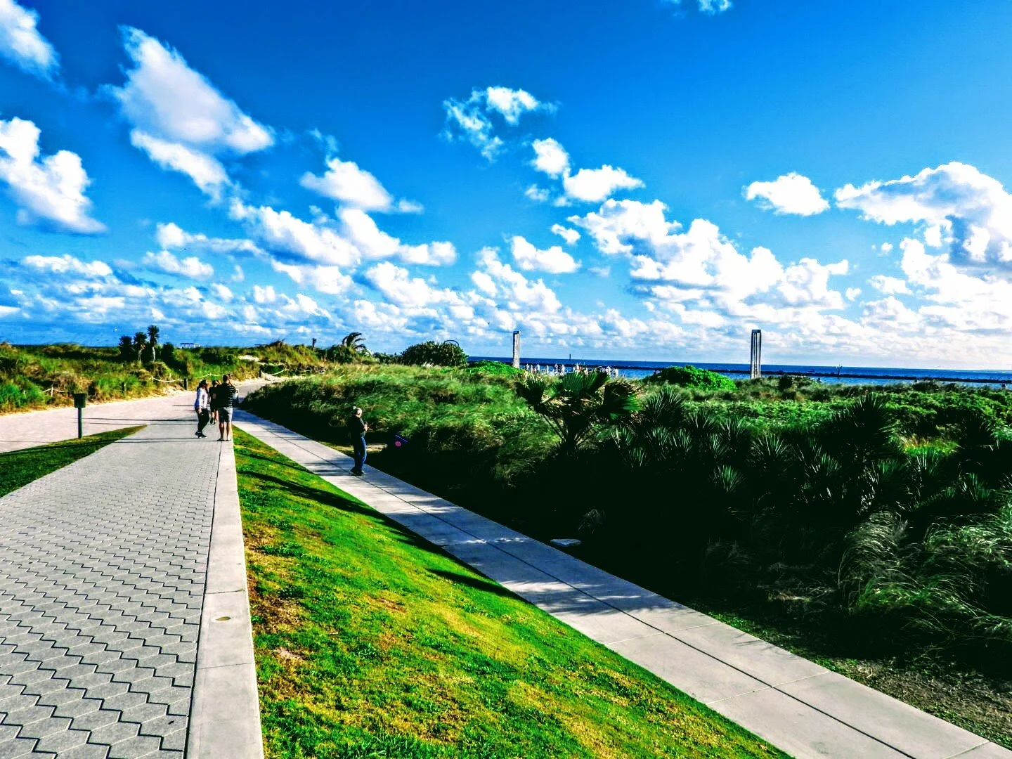 Miami Beach Marina  Miami Florida by MychaelX.photos  00436.JPG