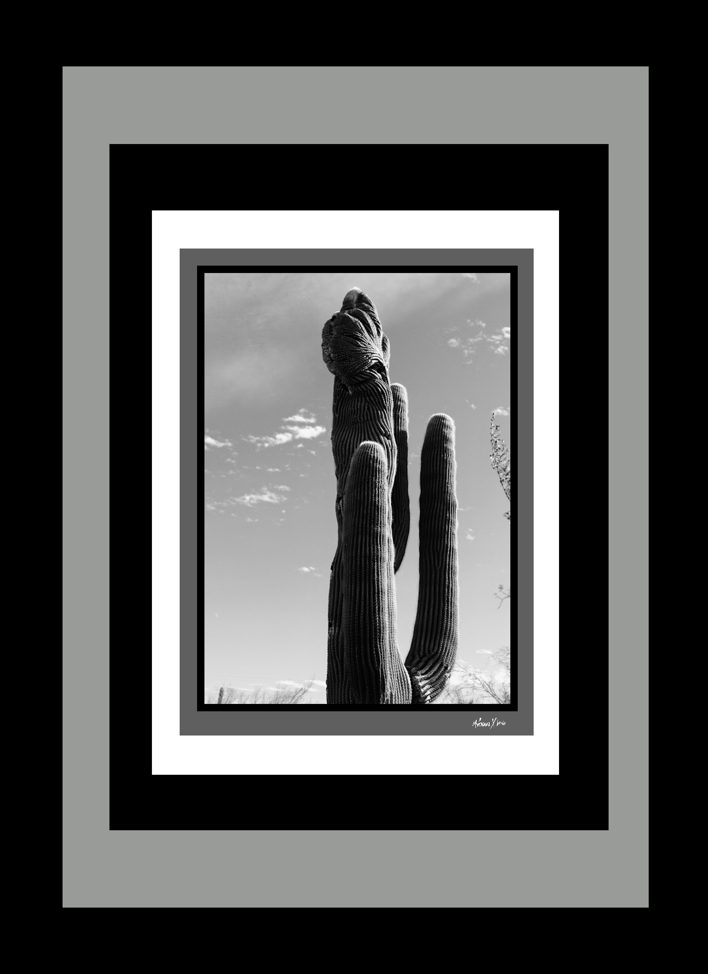 Mychael Xcatcus Hortizal 34.png