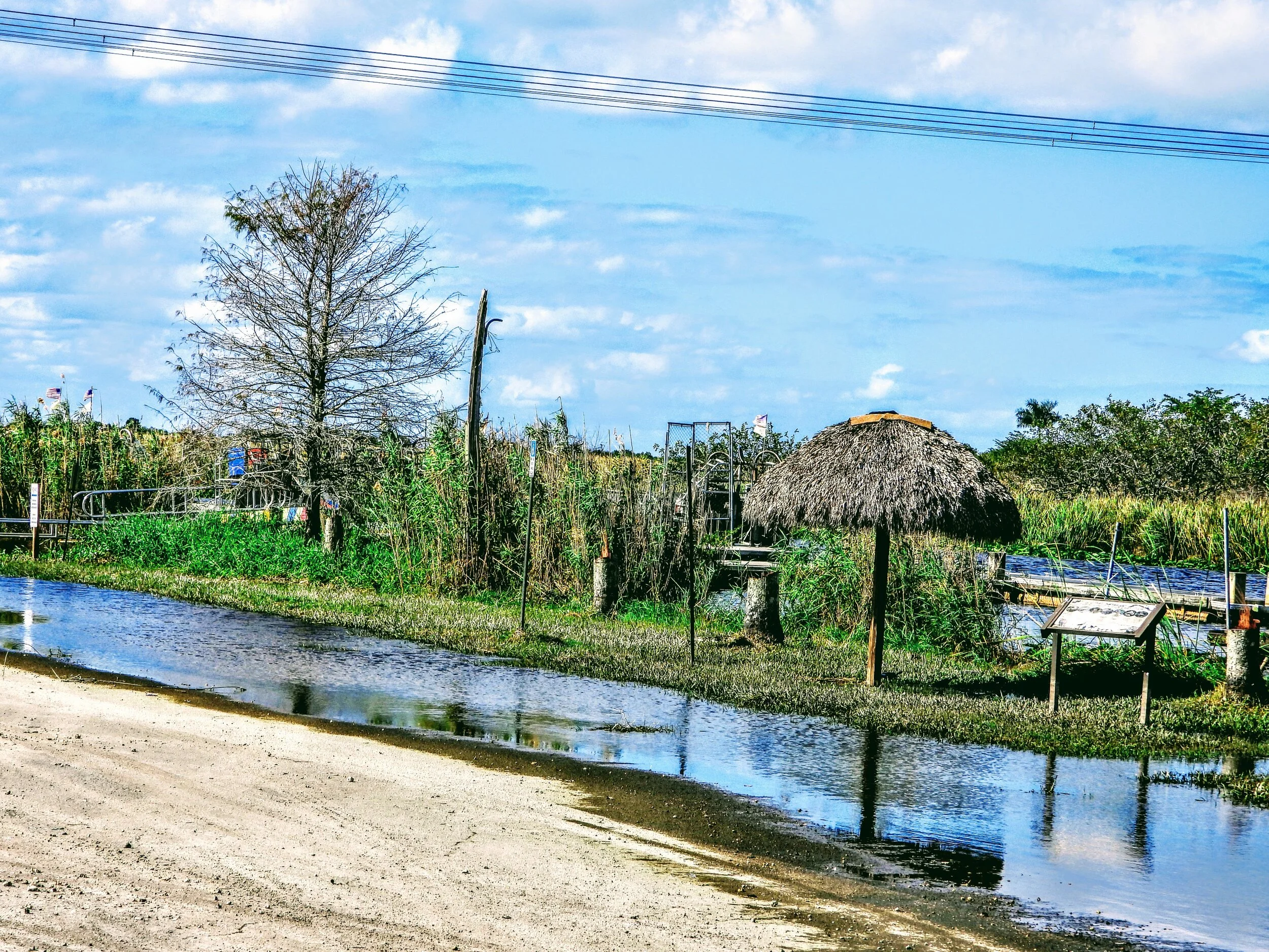 Everglades Safari Park Miami Florida by mychaelx.photos 00442.JPG