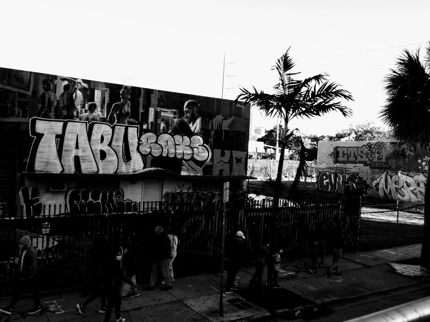 Downtown Miami Florida by MychaelX.photos 000088.JPG