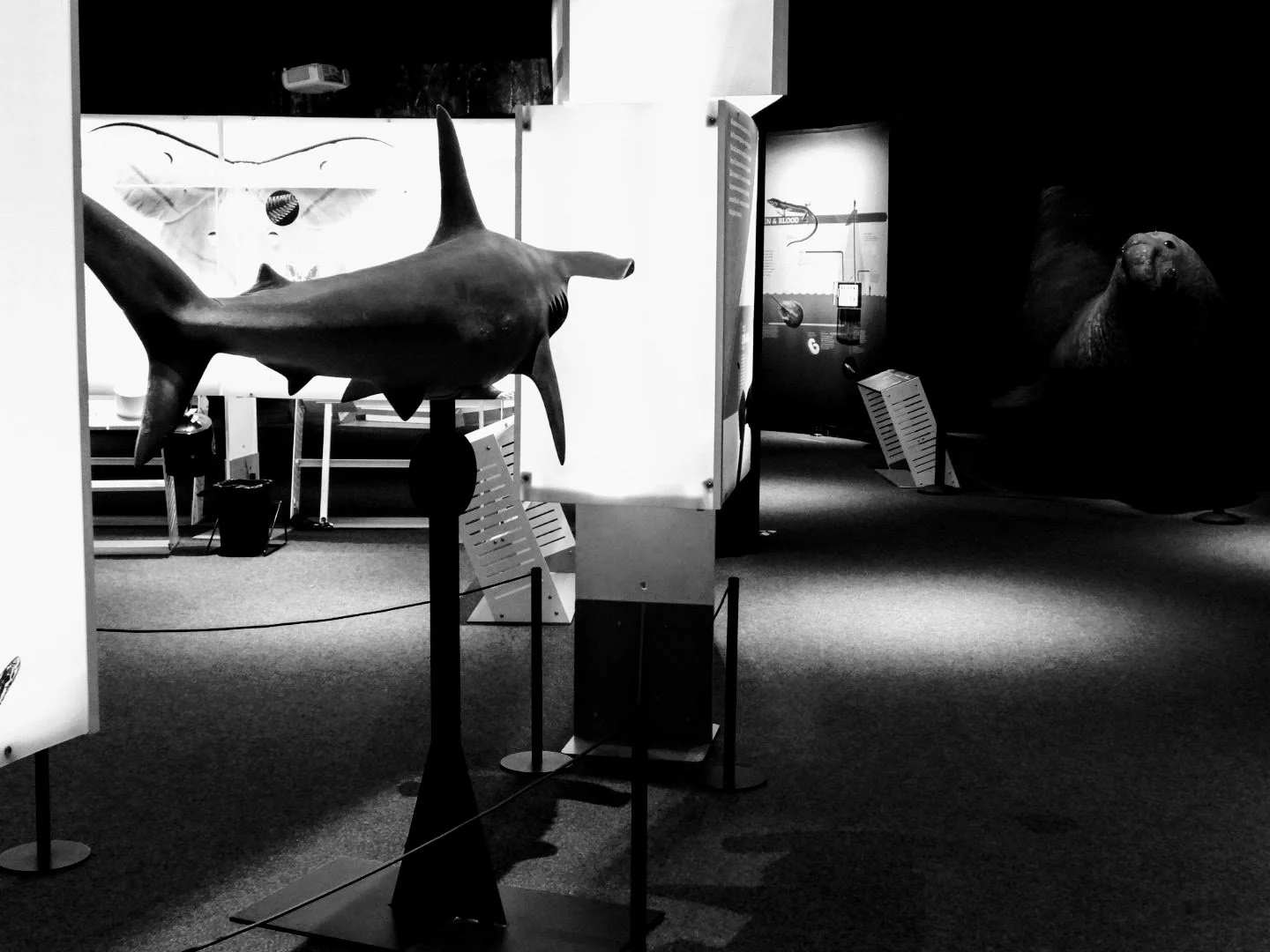 Phillip & Patricia Frost Science Museum Miami Florida by MychaelX.photos  28.JPG