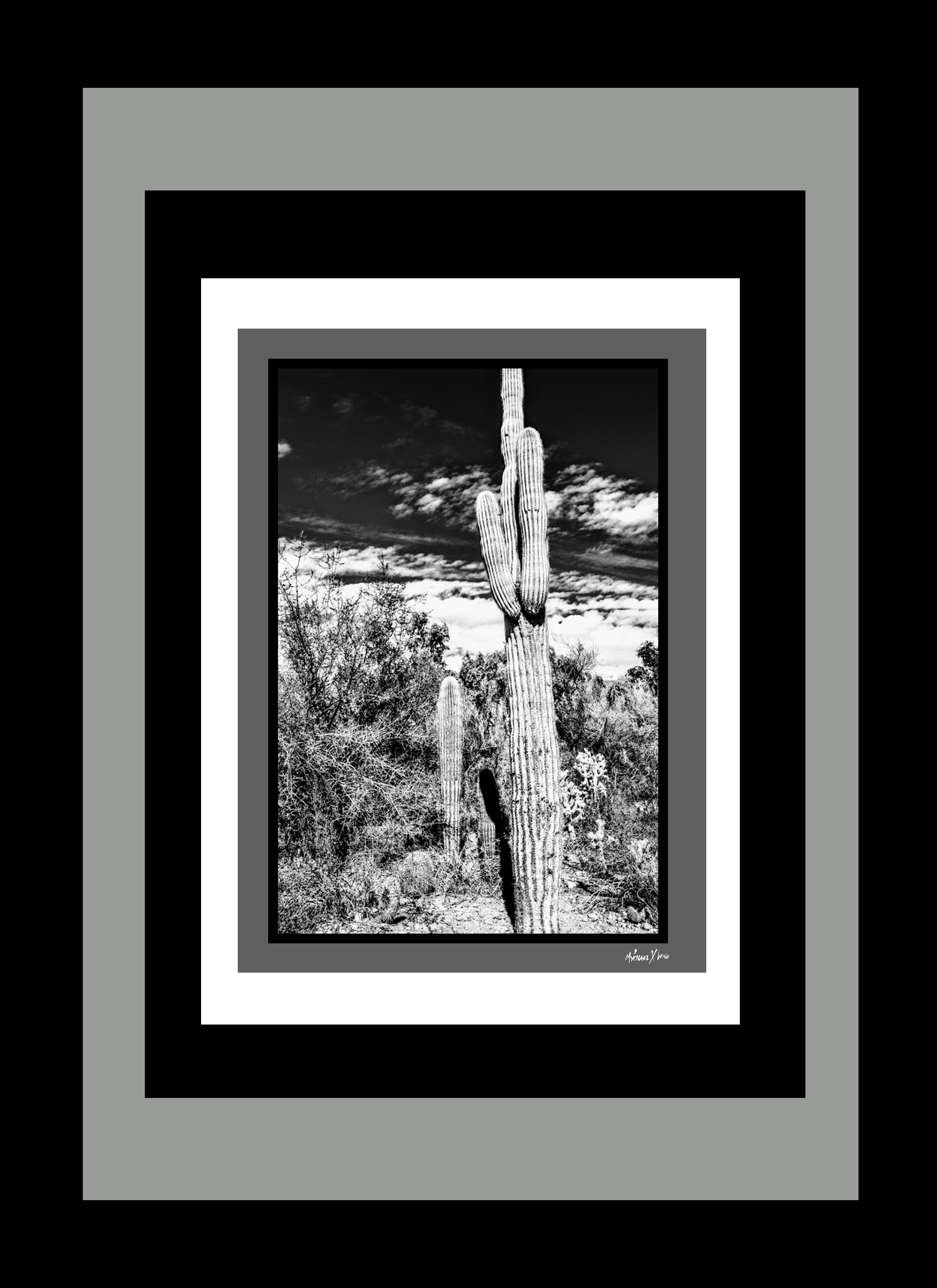 Mychael Xcatcus Hortizal 57.png