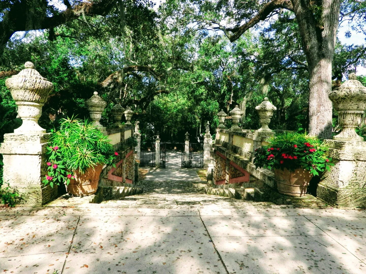 Botanical Garden in Color by Mychael X .photos 00203.JPG