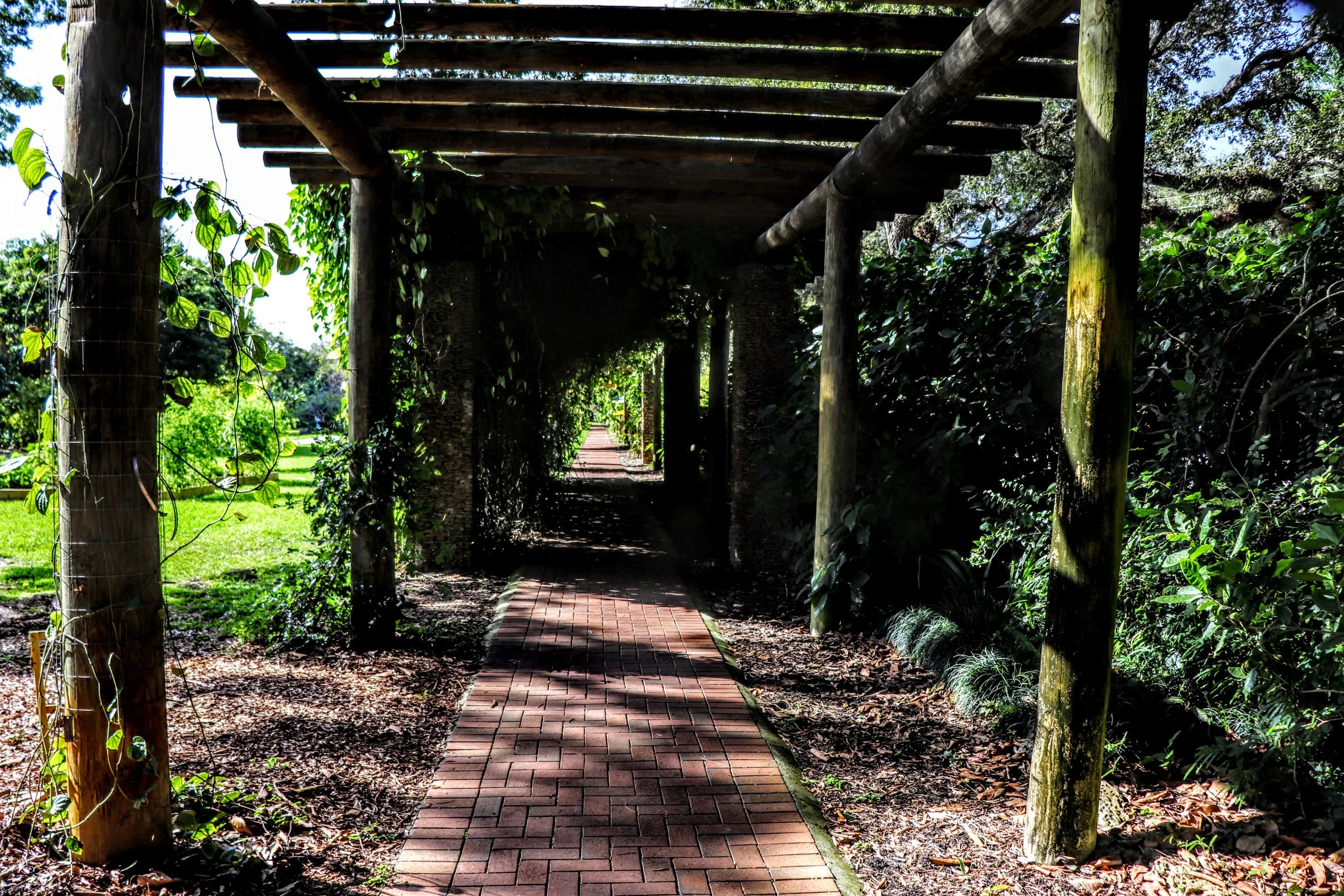 Tropical Botanic Garden by MychaelX.photos  203.JPG