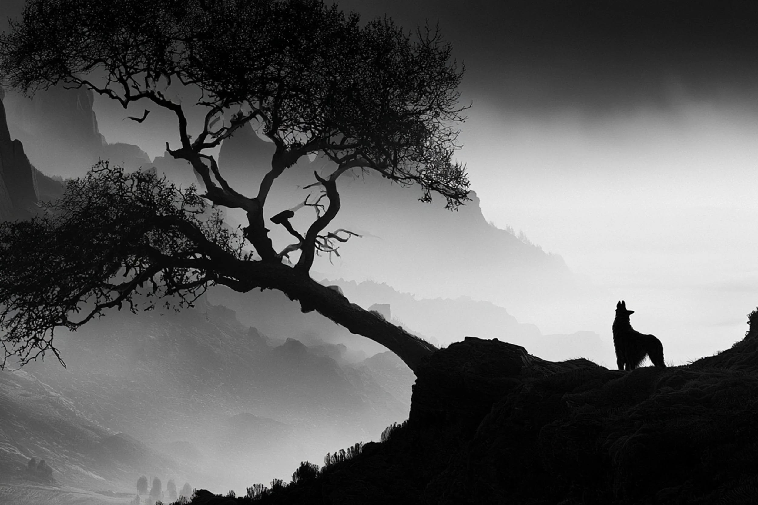 #5 BLACK & WHITE LANDSCAPE — Timeless Beauty in Every View 24W X 36H