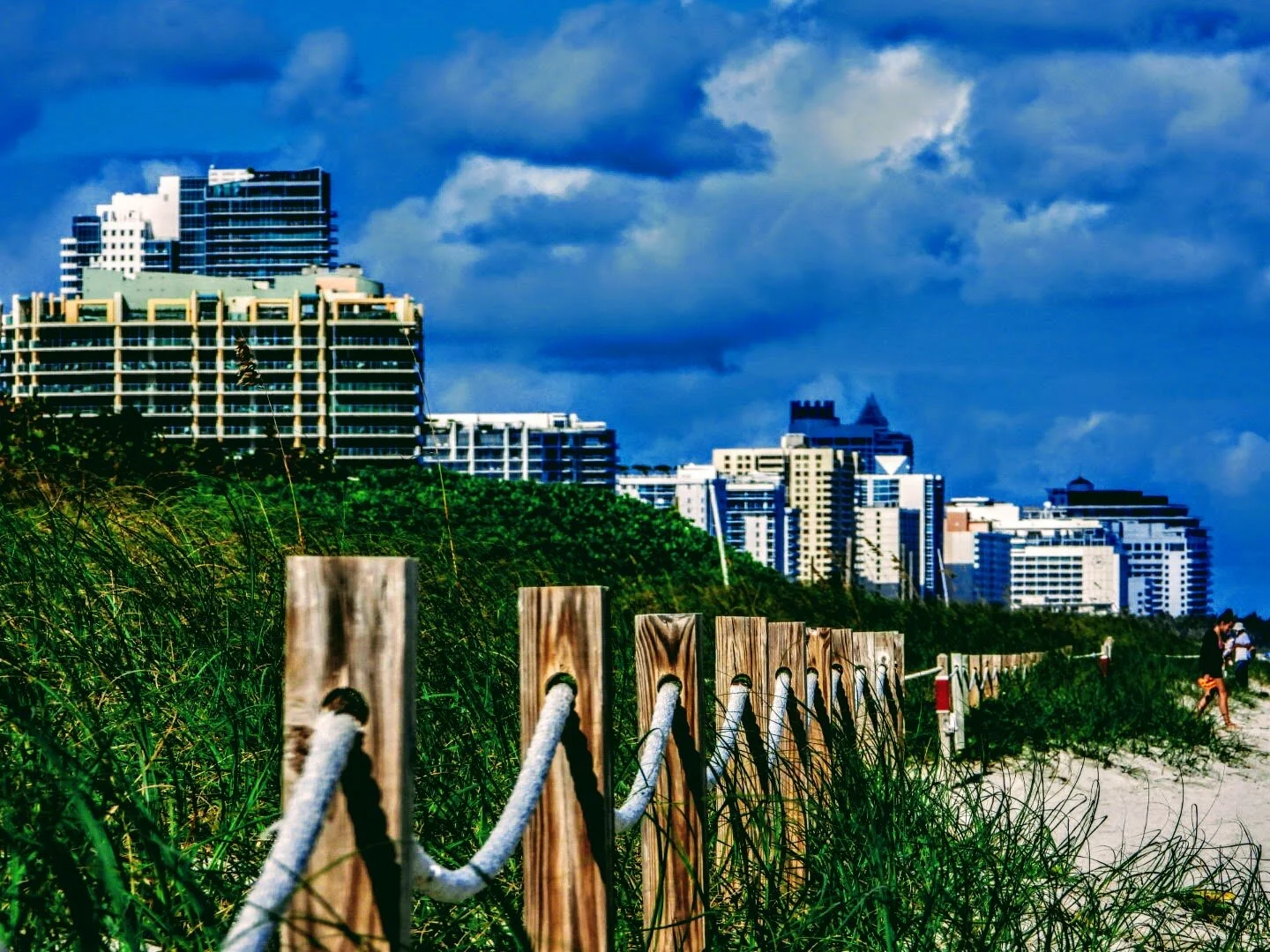 Miami Beach Marina  Miami Florida by MychaelX.photos  00476.JPG