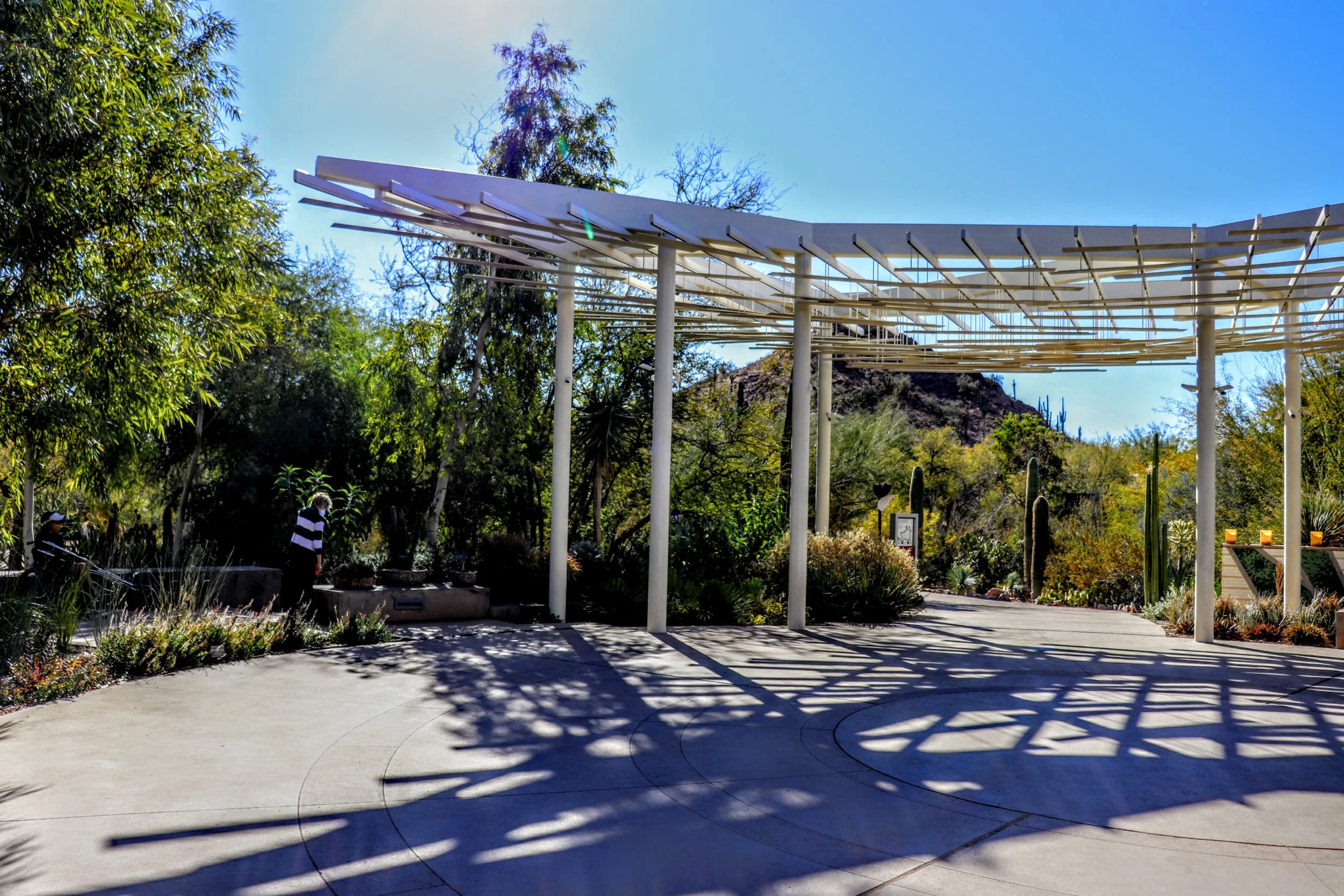 Desert Botanical Garden Phoenix Arizona by MychaelX.p6otos 001566.JPG