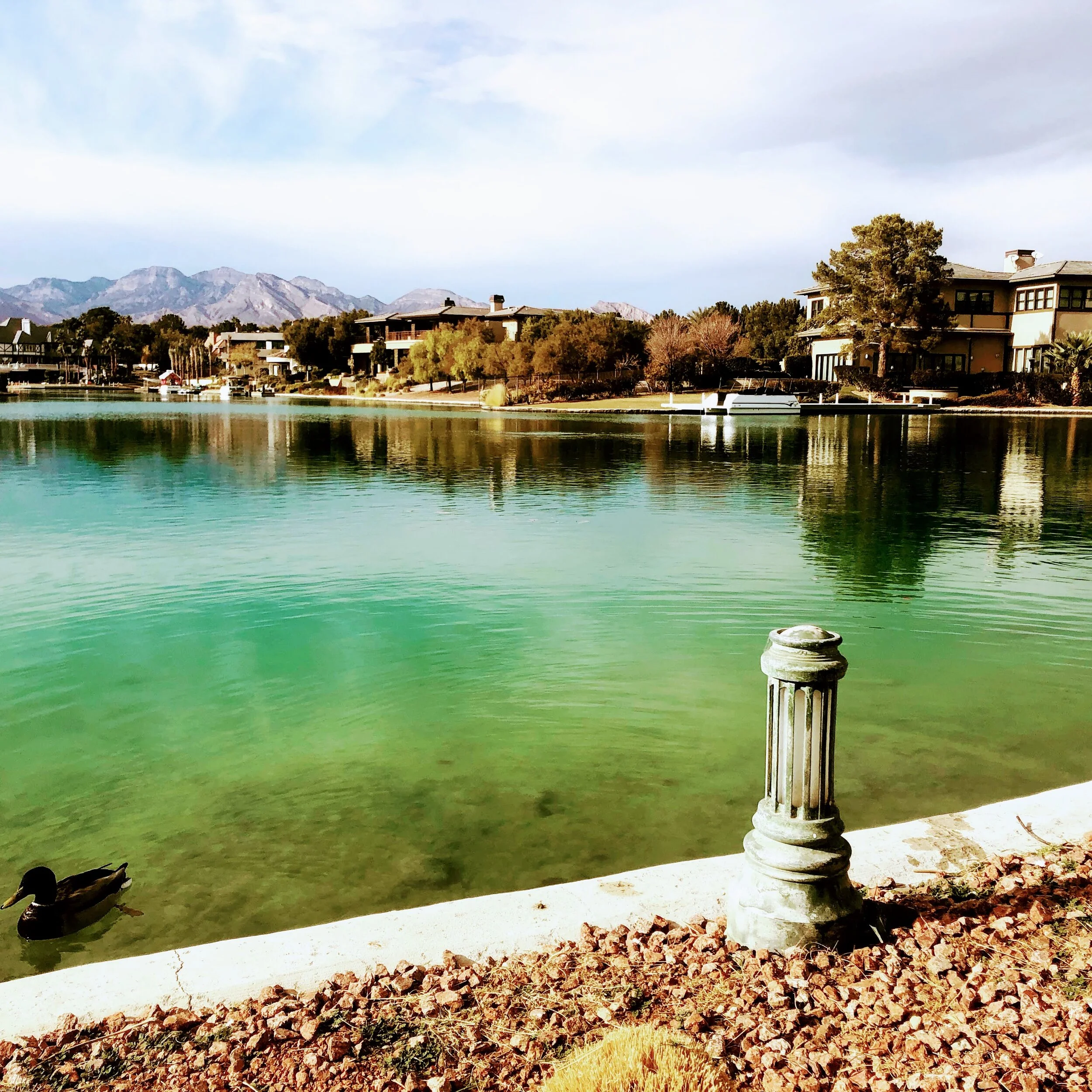 Cafe of las vegas by MychaelX.photos 00101.jpg