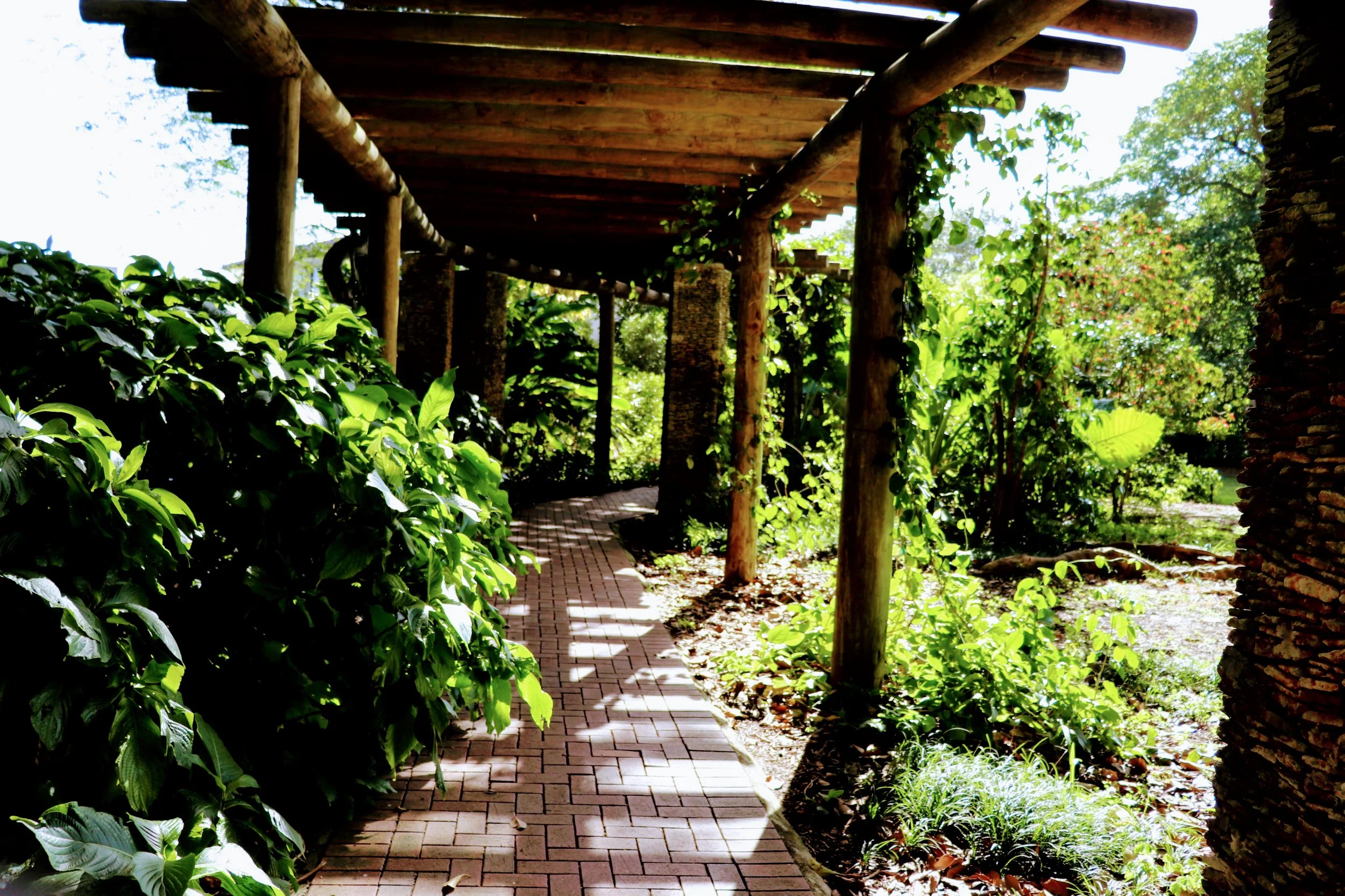 Fairchild Tropical Botanic Garden Miami Florida by MychaelX.photos 00070.JPG