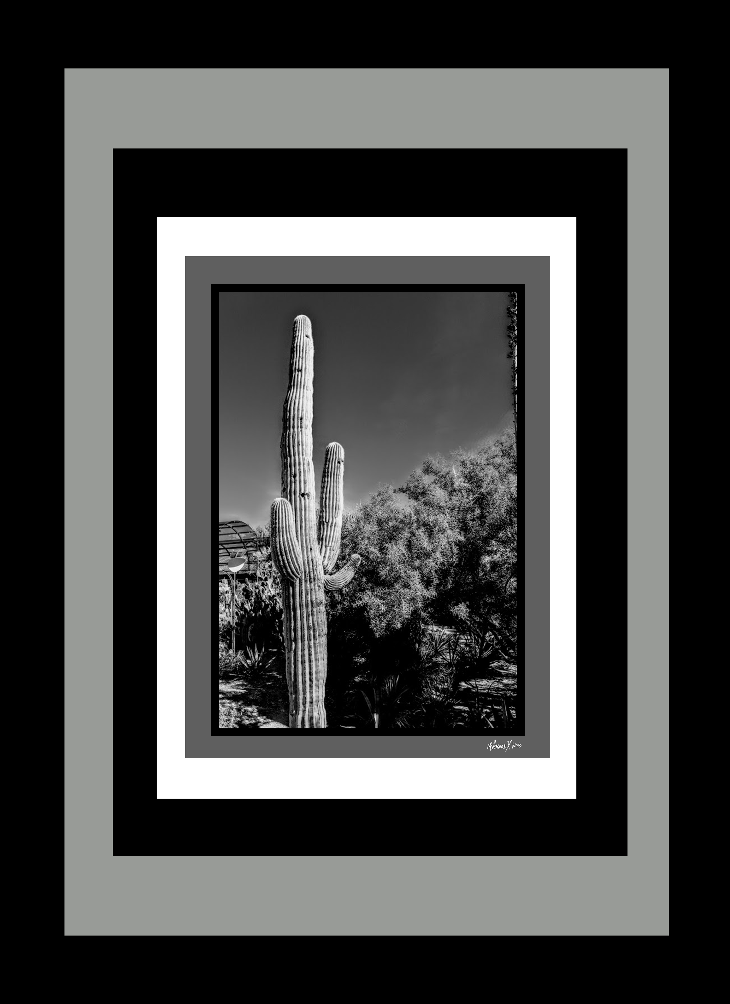 Mychael Xcatcus Hortizal 16.png