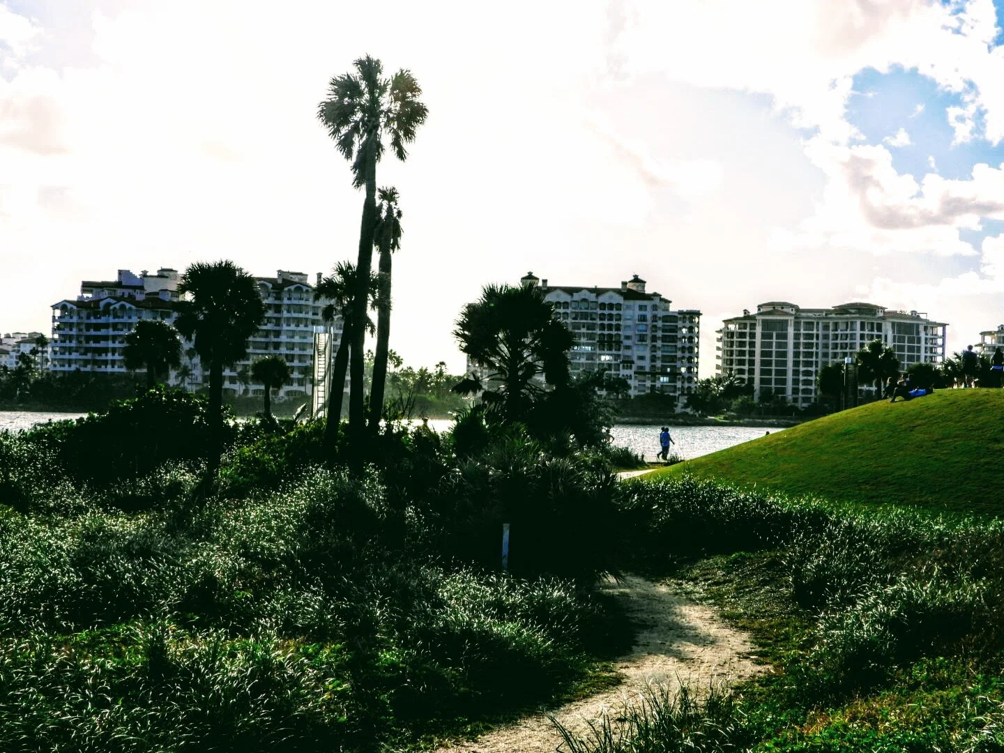 Miami Beach Marina  Miami Florida by MychaelX.photos  00440.JPG