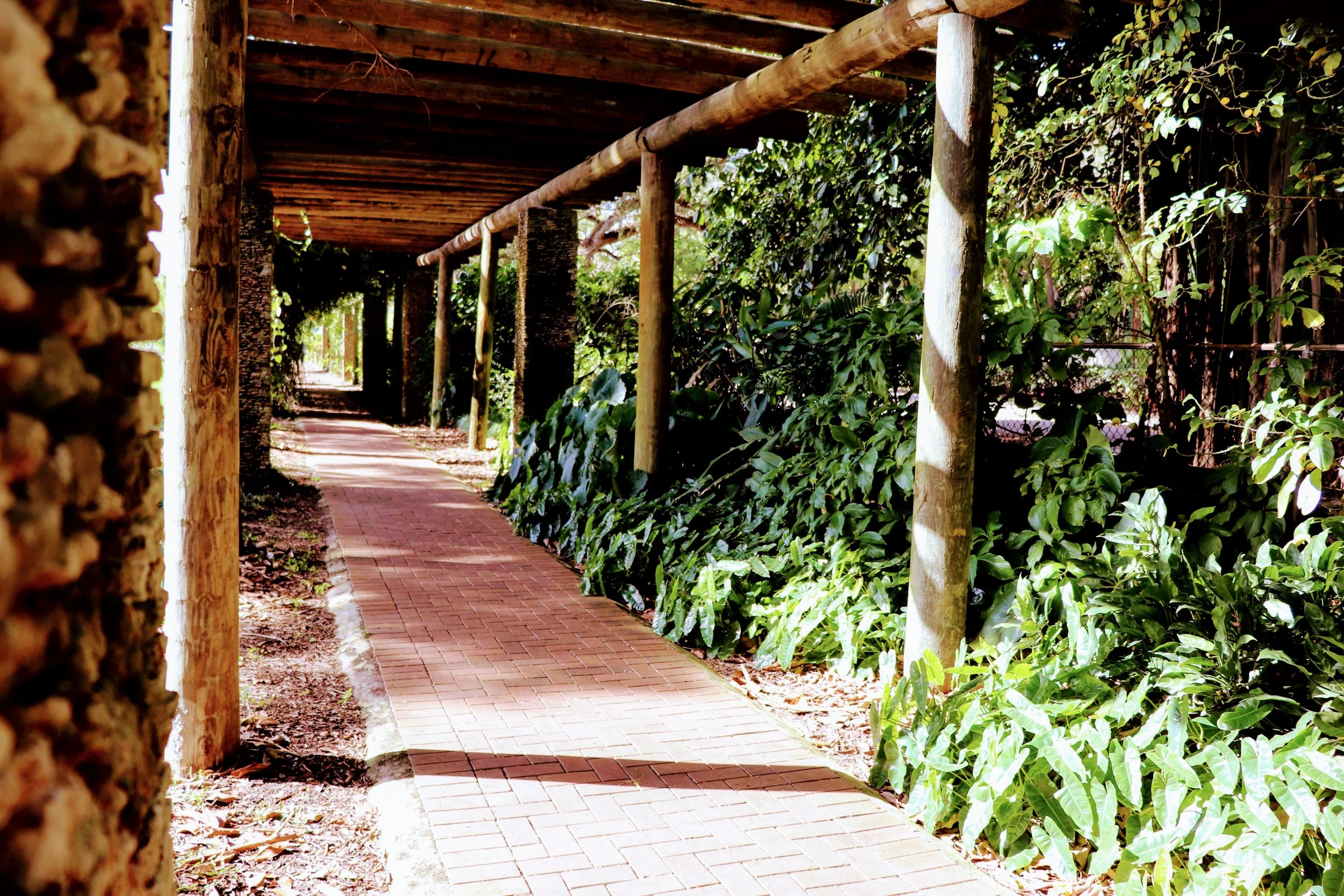 Fairchild Tropical Botanic Garden Miami Florida by MychaelX.photos 00073.JPG