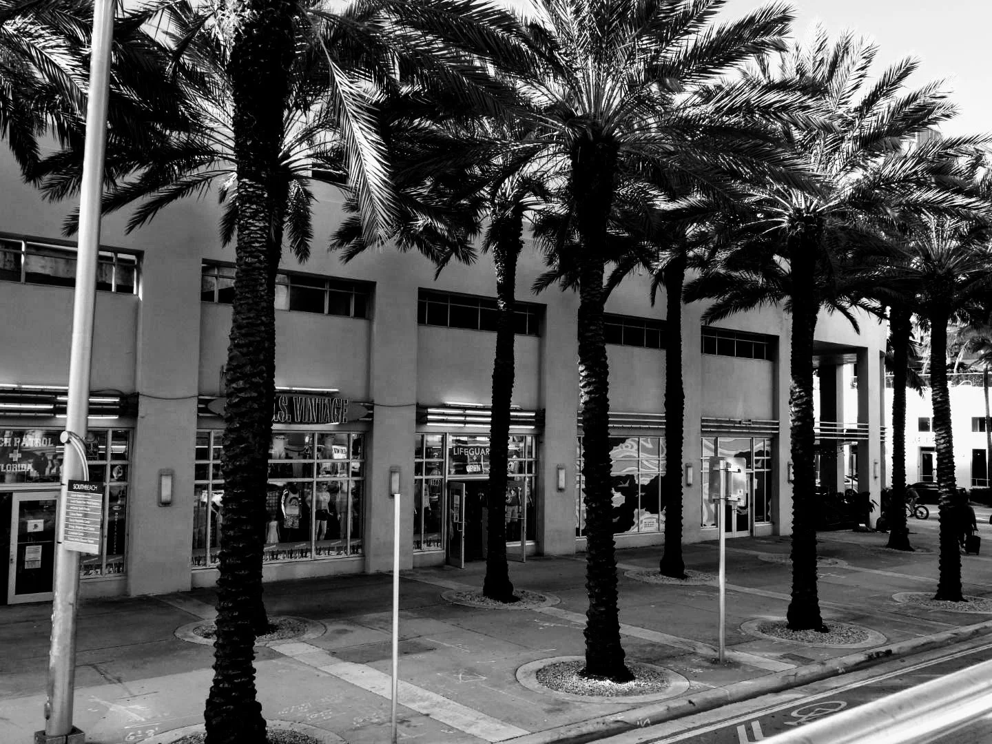 Downtown Miami Florida by MychaelX.photos 000037.JPG