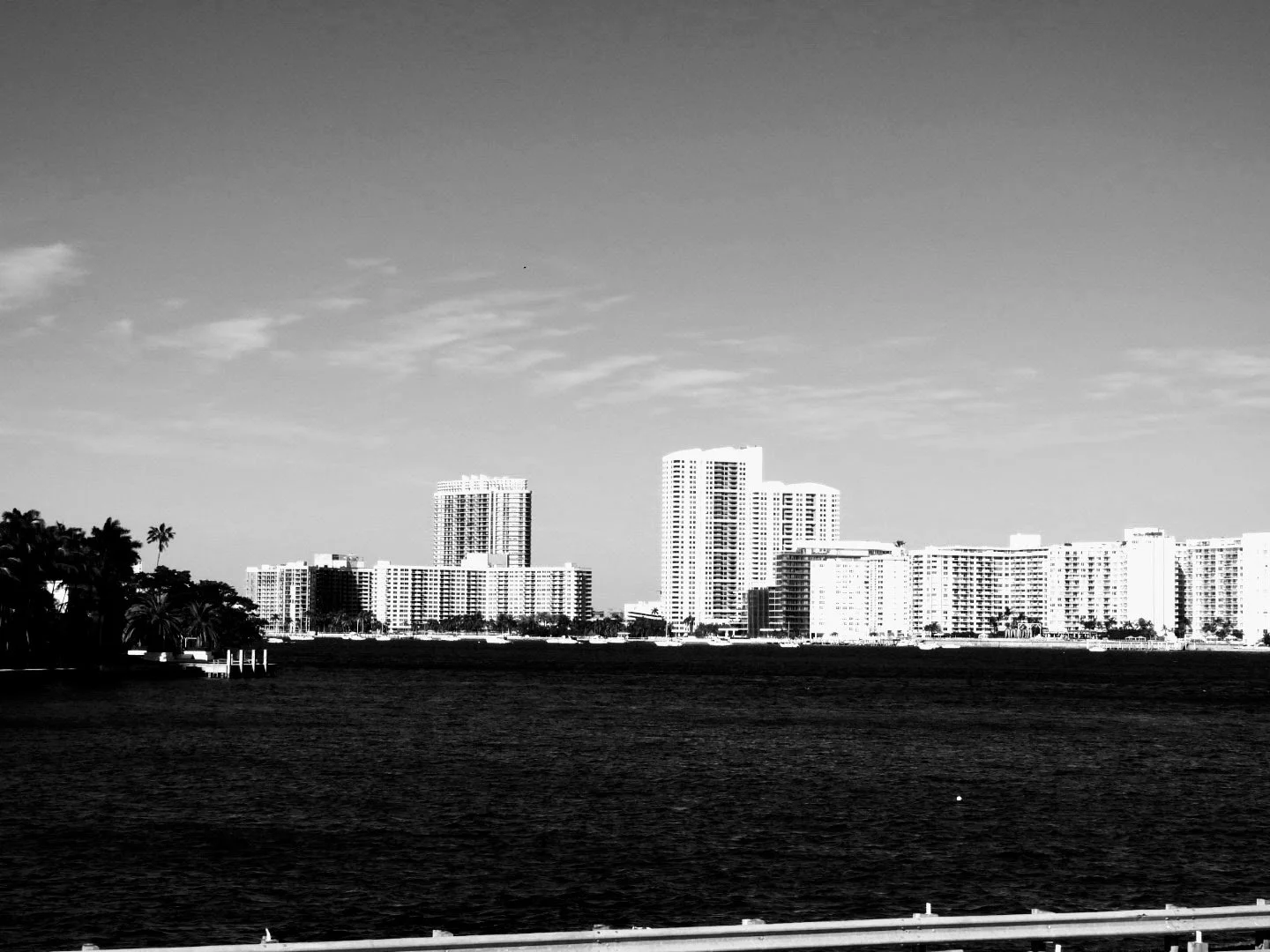 Downtown Miami Florida by MychaelX.photos 000021.JPG