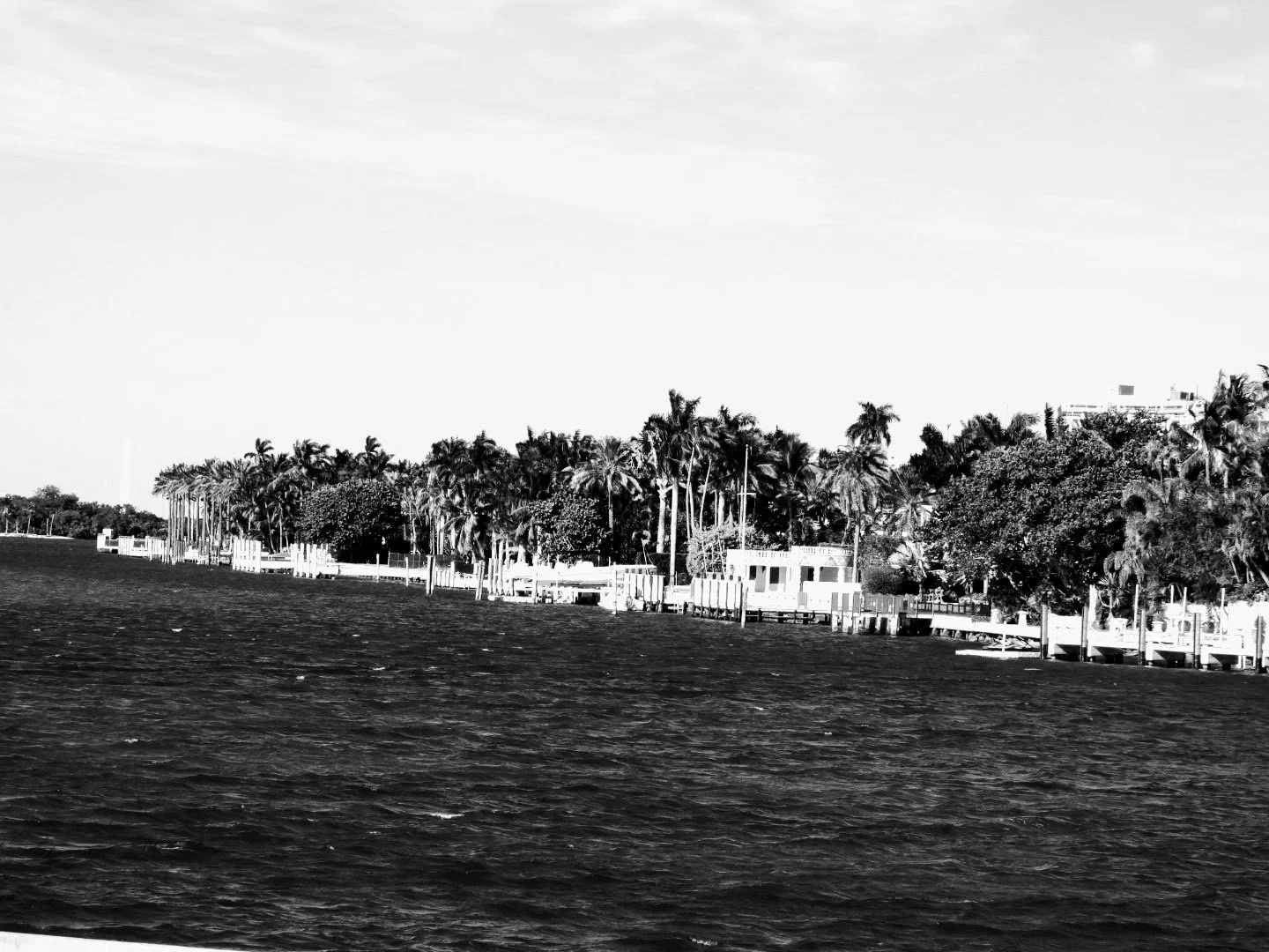 Downtown Miami Florida by MychaelX.photos 00050.JPG