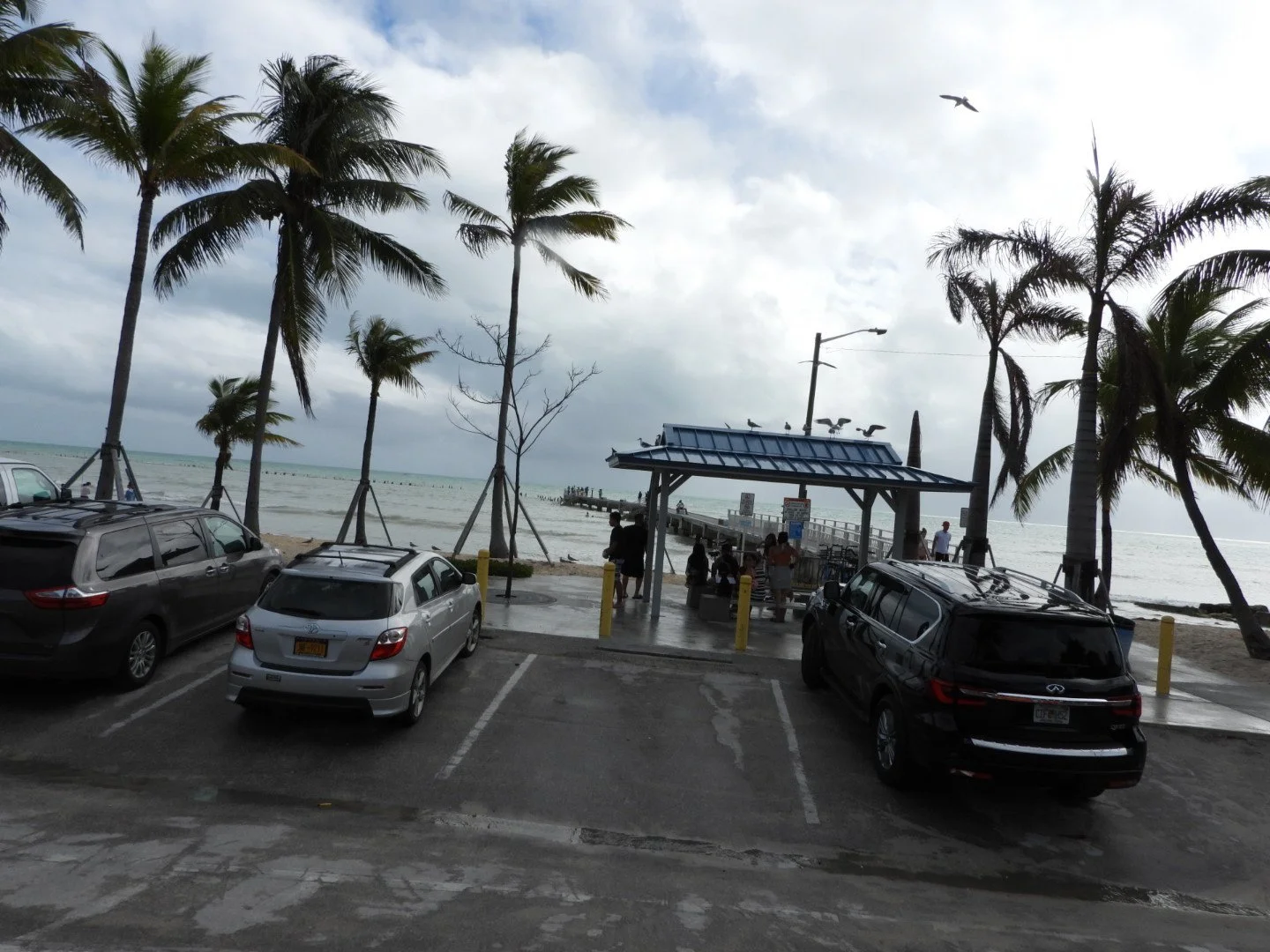 Key West Miami Florida by Mych7elX.photos 00128.JPG