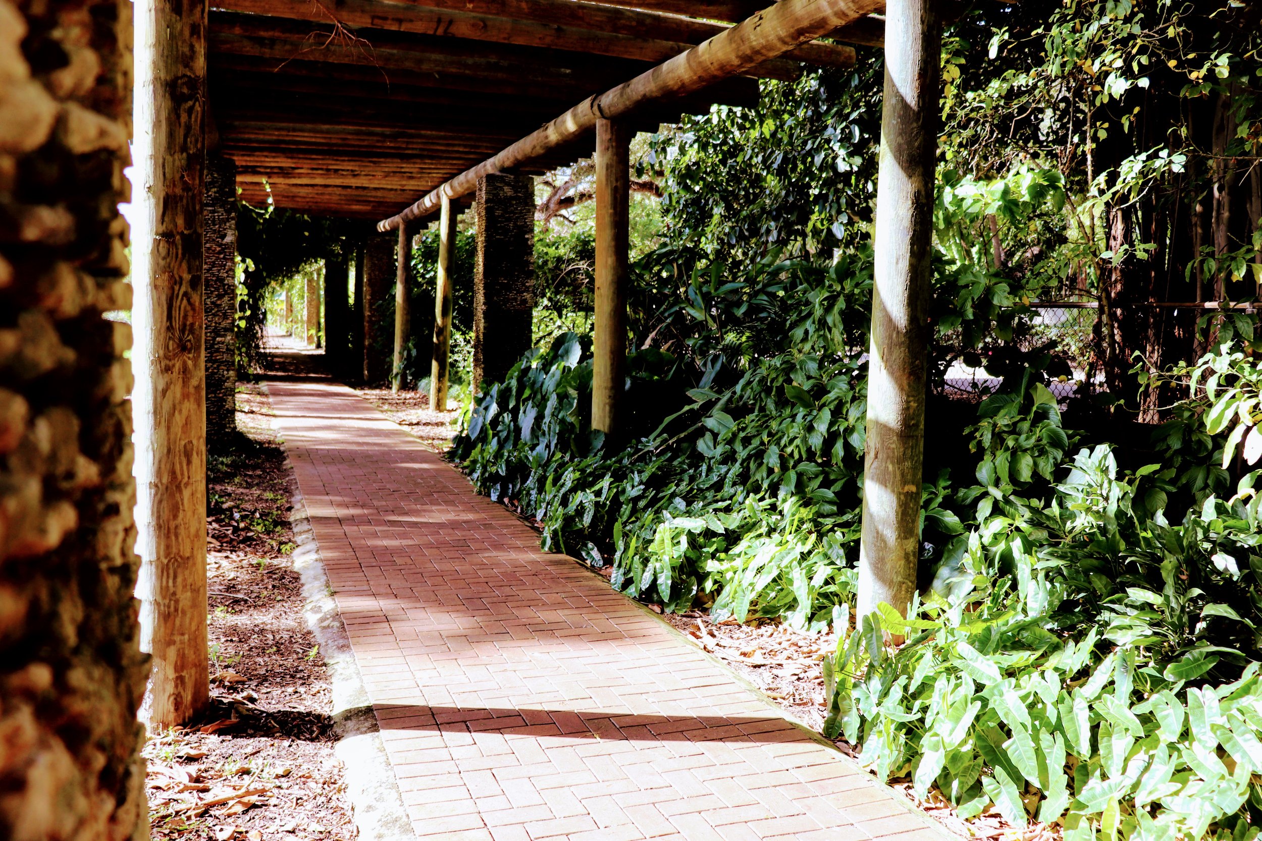 Fairchild Tropical Botanic Garden Miami Florida by MychaelX.photos 00074.JPG