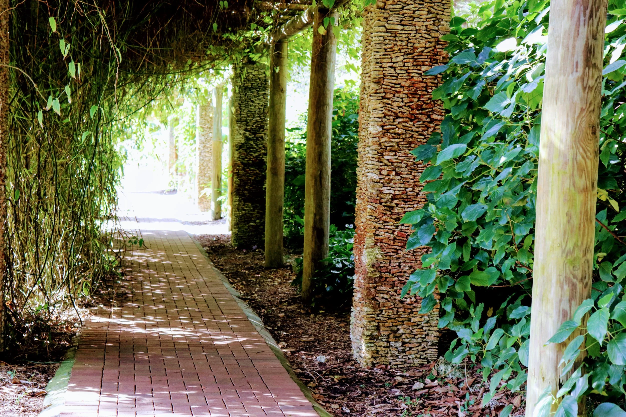 Fairchild Tropical Botanic Garden Miami Florida by MychaelX.photos 00065.JPG