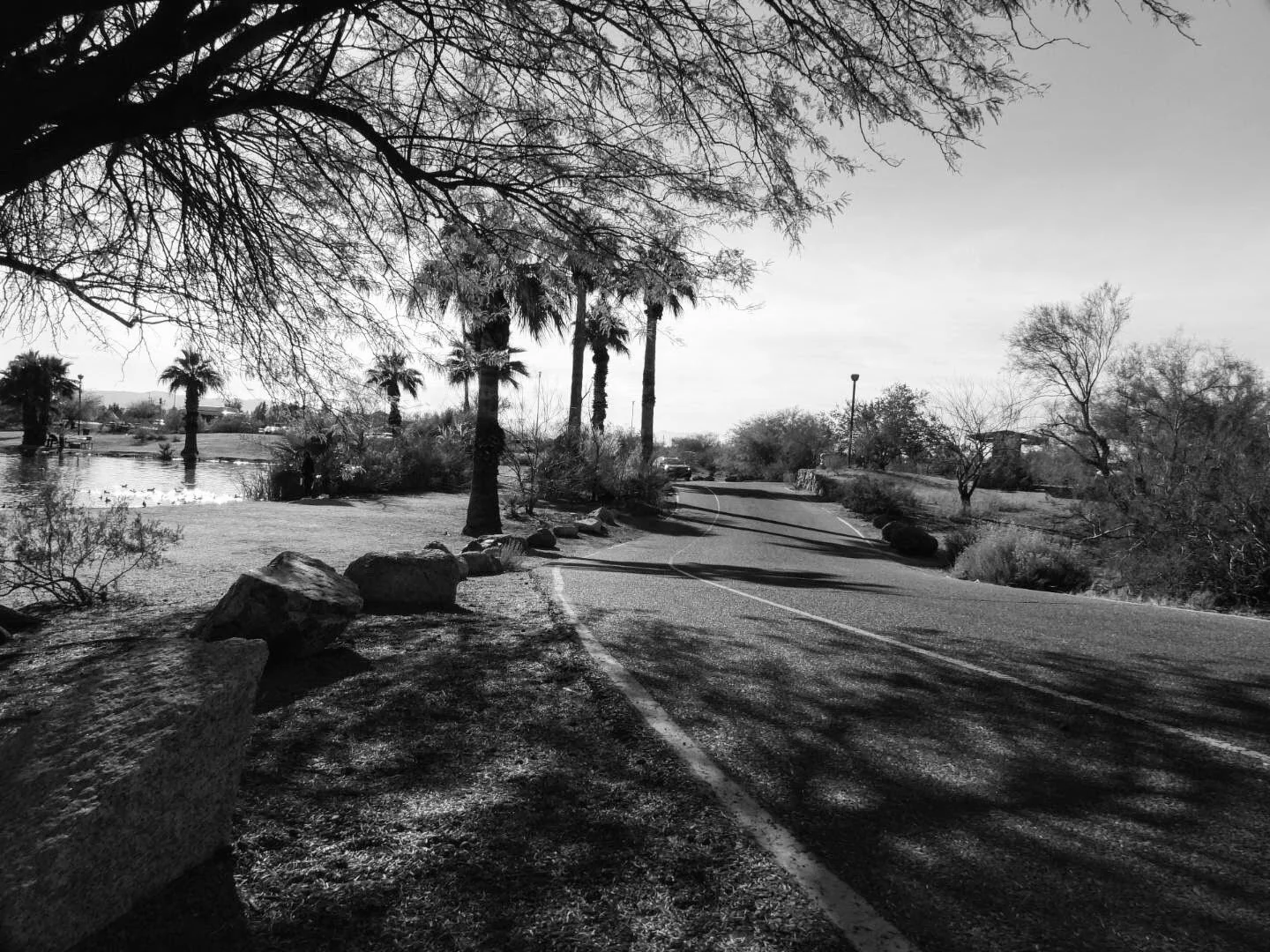 Papago Ponds Phoenix Arizona By MychelX.photos 0086.JPG