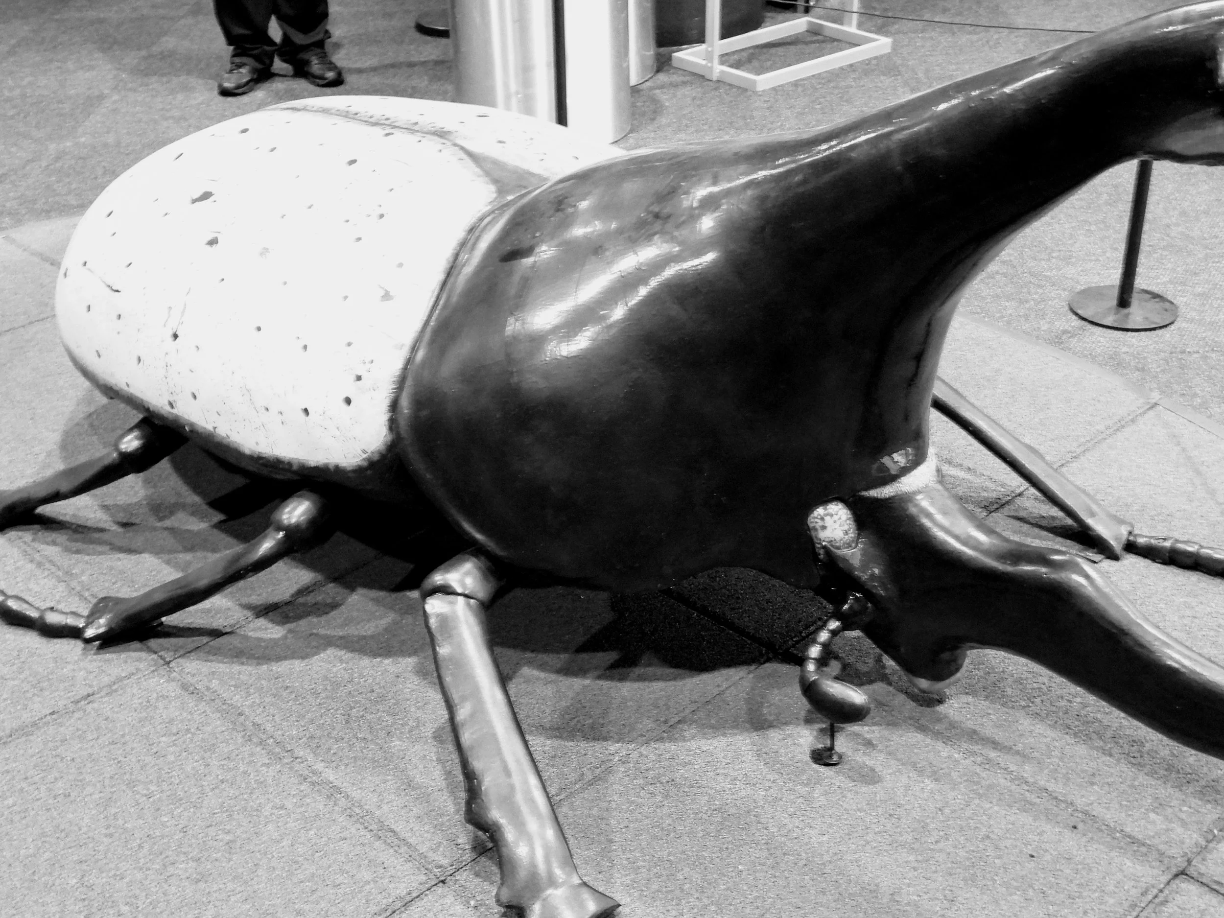 Phillip & Patricia Frost Science Museum Miami Florida by MychaelX.photos  62.JPG