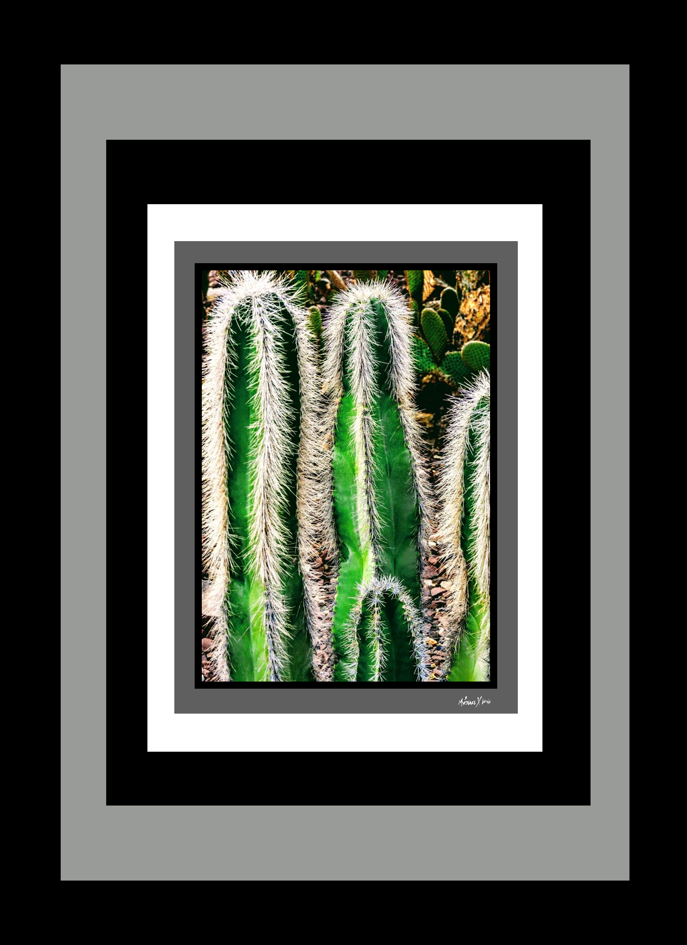 Mychael Xcatcus Hortizal 10.png