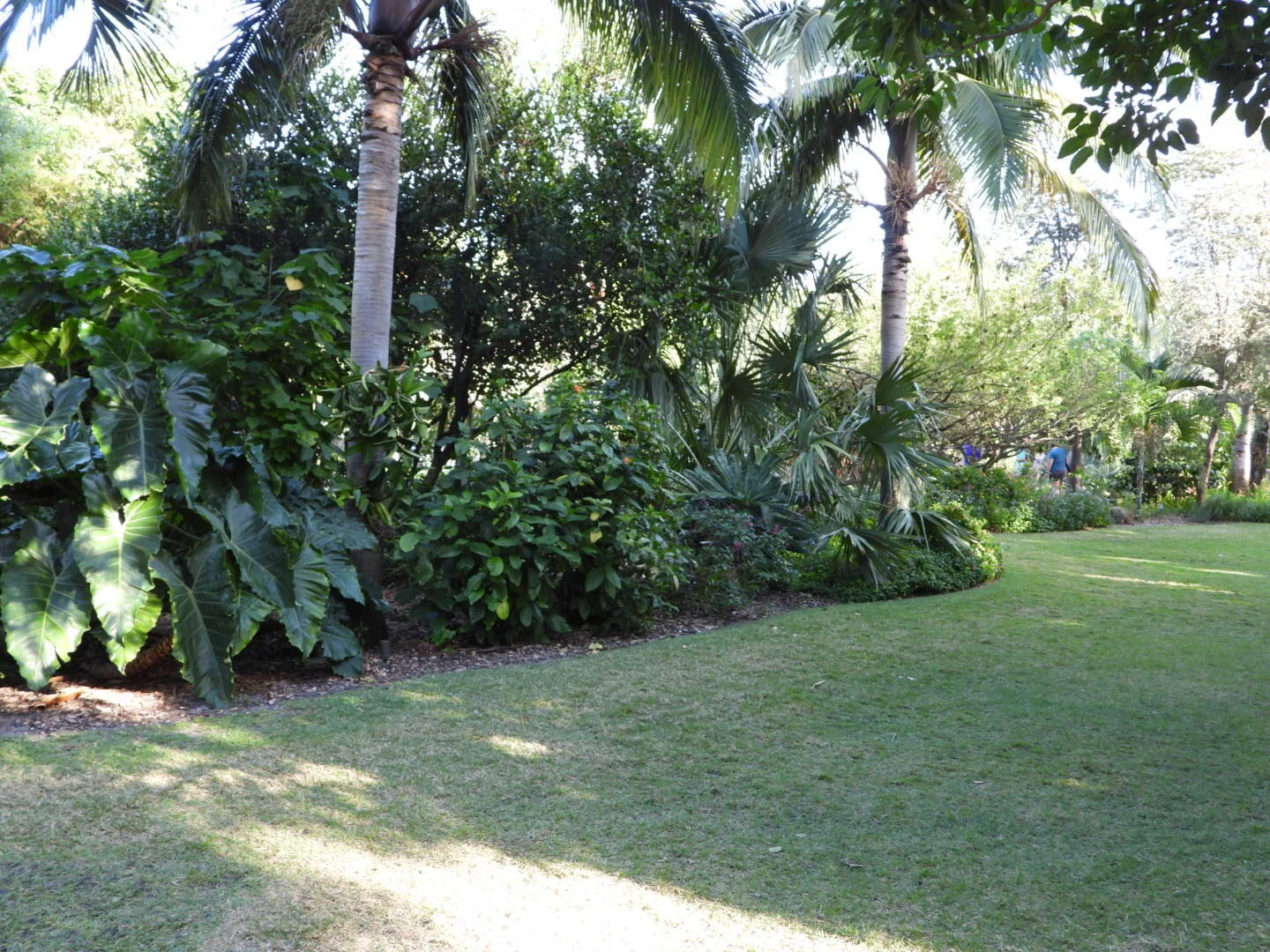 Miami Beach Botanical Garden Florida by MychaelX.photos 0025.JPG