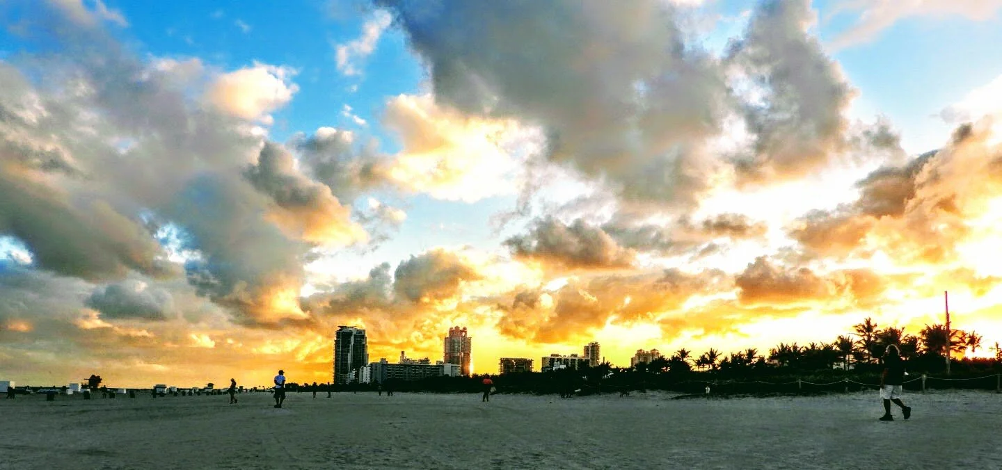 Miami Beach Marina  Miami Florida by MychaelX.photos  00504.JPG