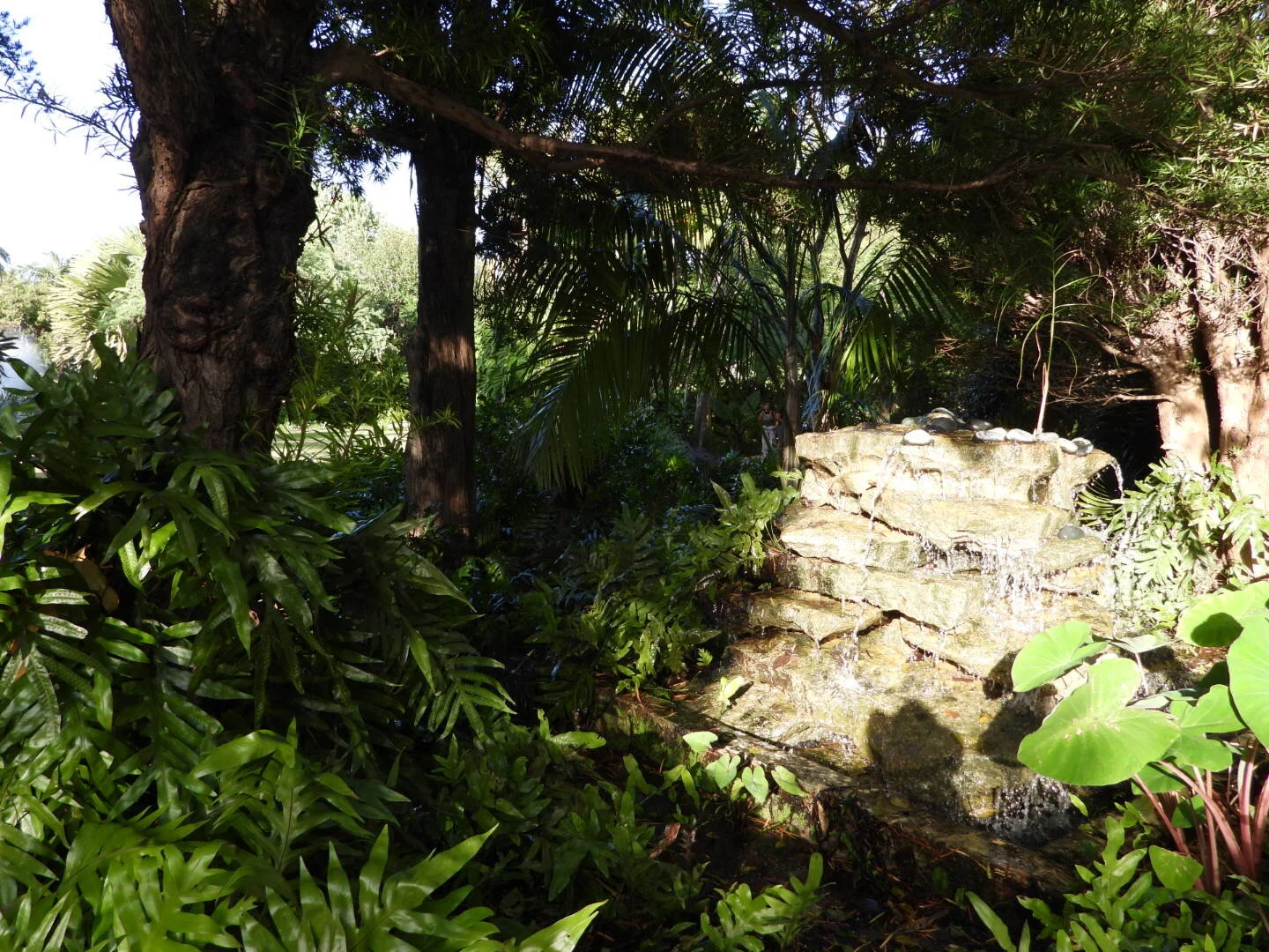 Botanical Garden in Color by MychaelX.photos 00010.JPG