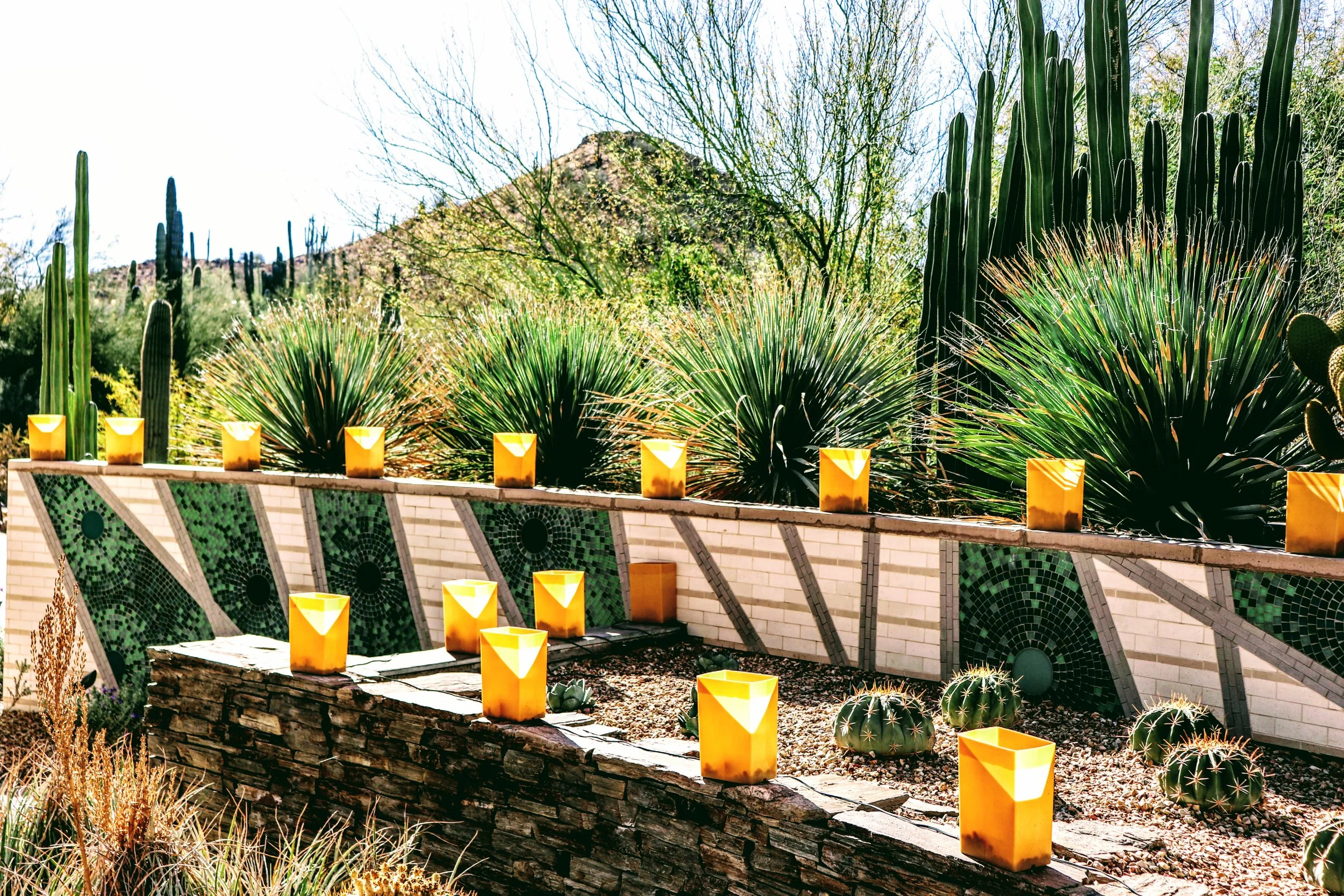 Desert Botanical Garden Phoenix Arizona by MychaelX.p6otos 001560.JPG