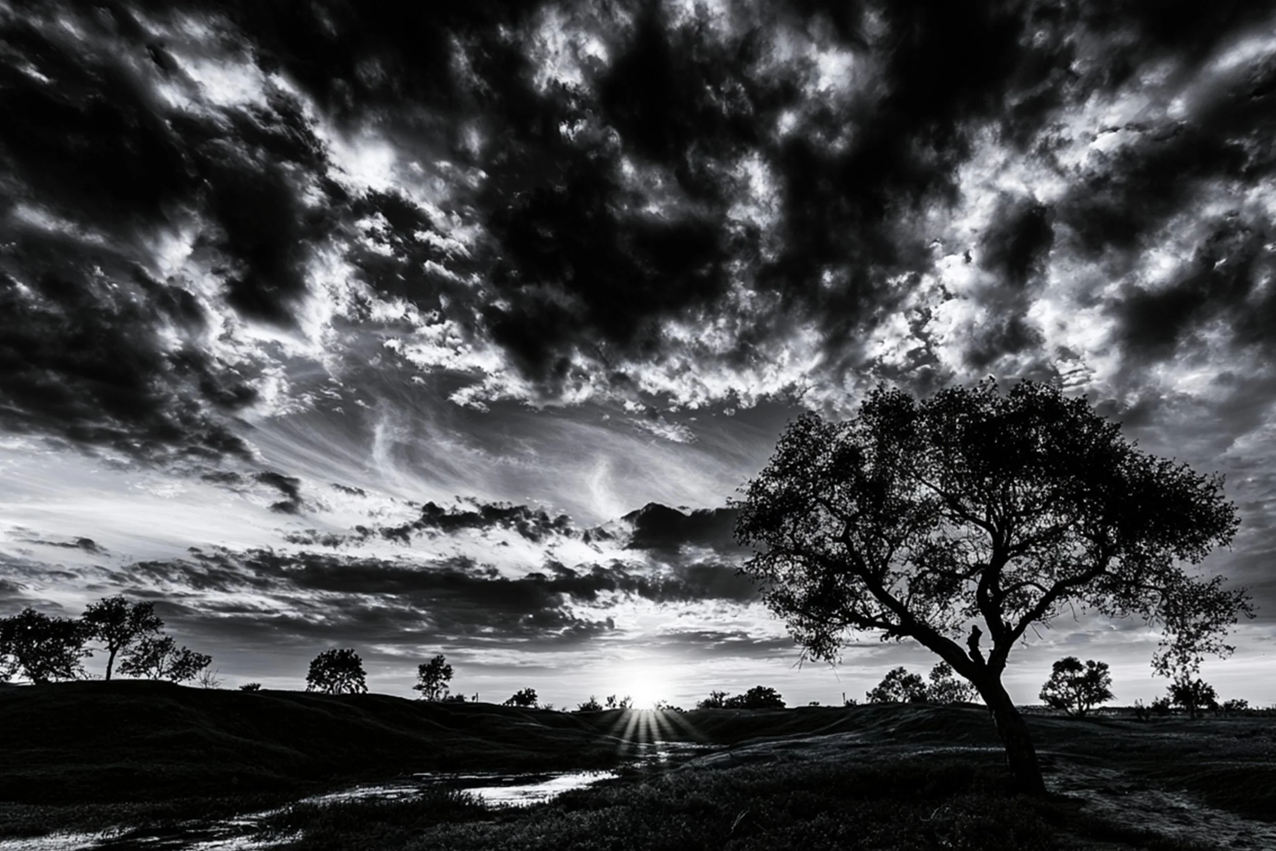 #34 BLACK & WHITE LANDSCAPE — Timeless Beauty in Every View 24W X 36H