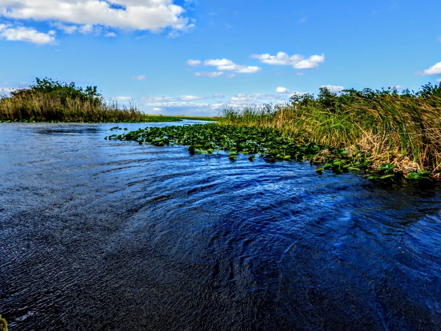 Everglades Safari Park Miami Florida by mychaelx.photos 00418.JPG