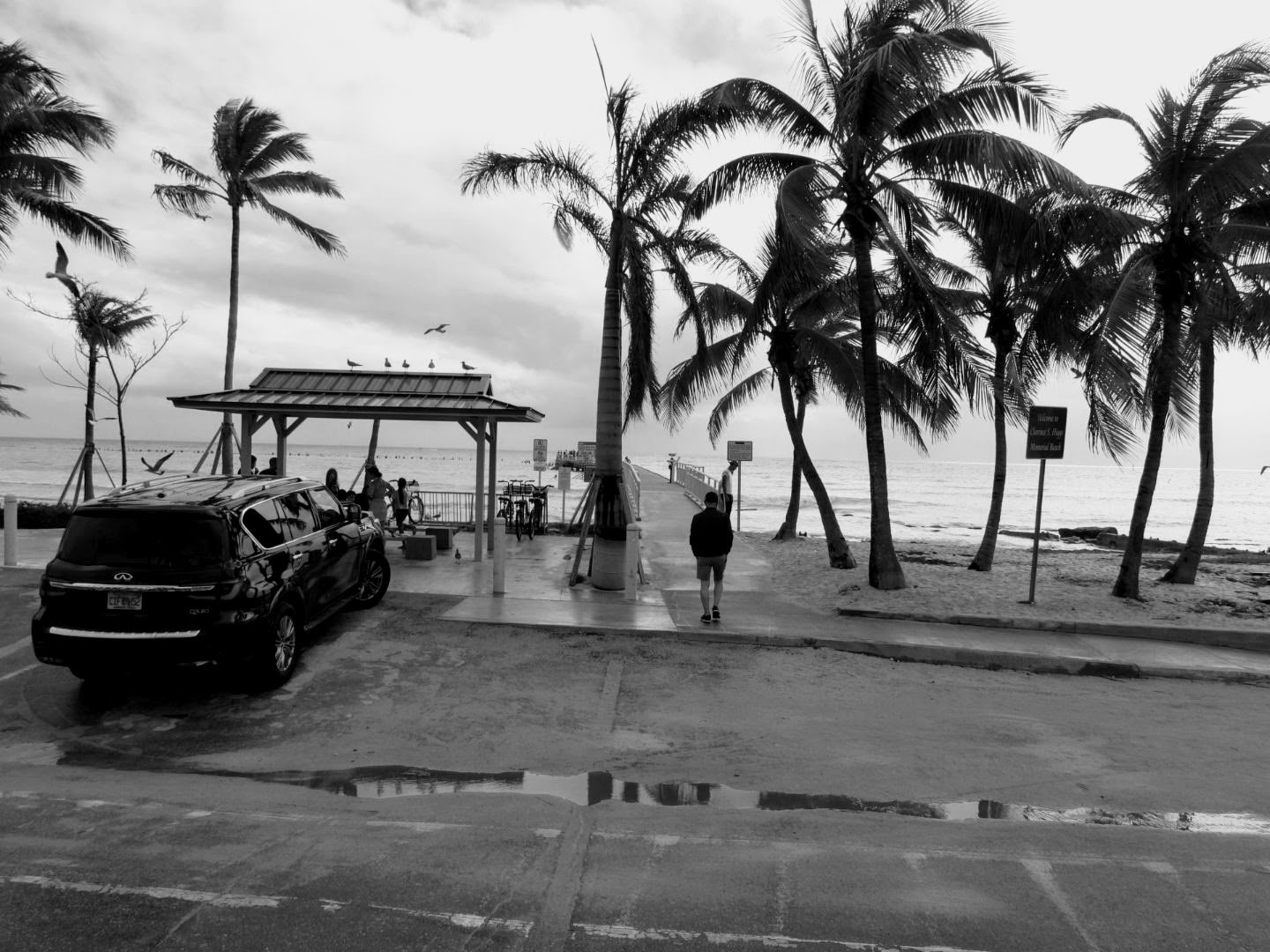 Key West Miami Florida by Mych7elX.photos 00127.JPG