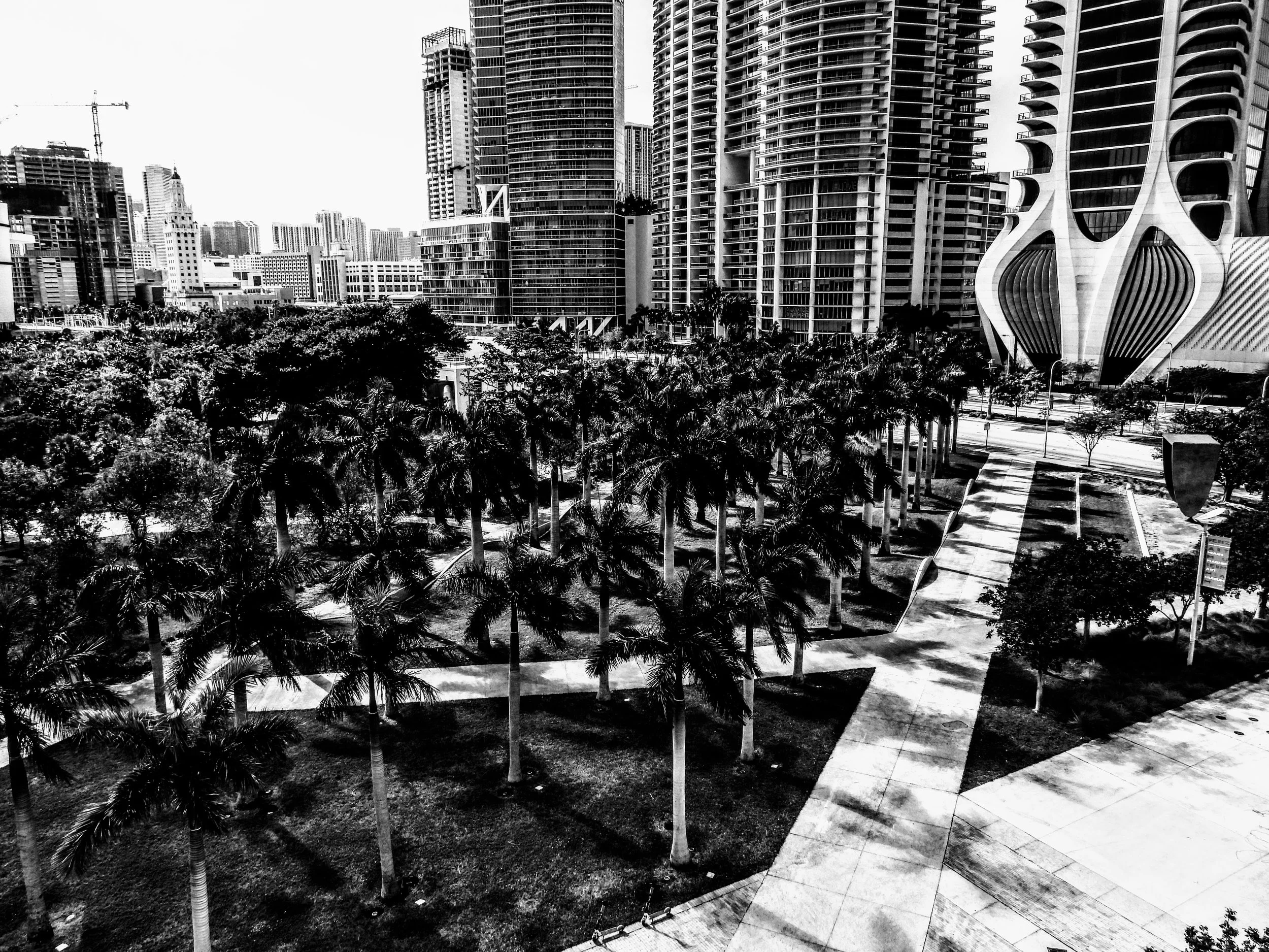 Downtown Miami Florida by MychaelX.photos 00109.JPG