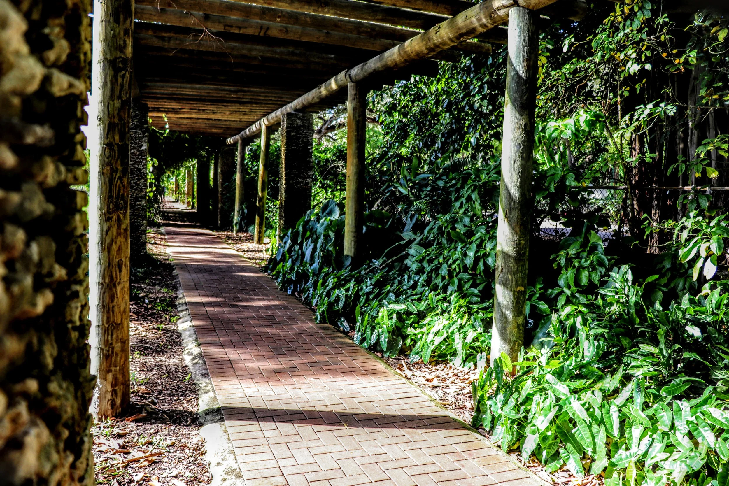 Tropical Botanic Garden by MychaelX.photos  211.JPG