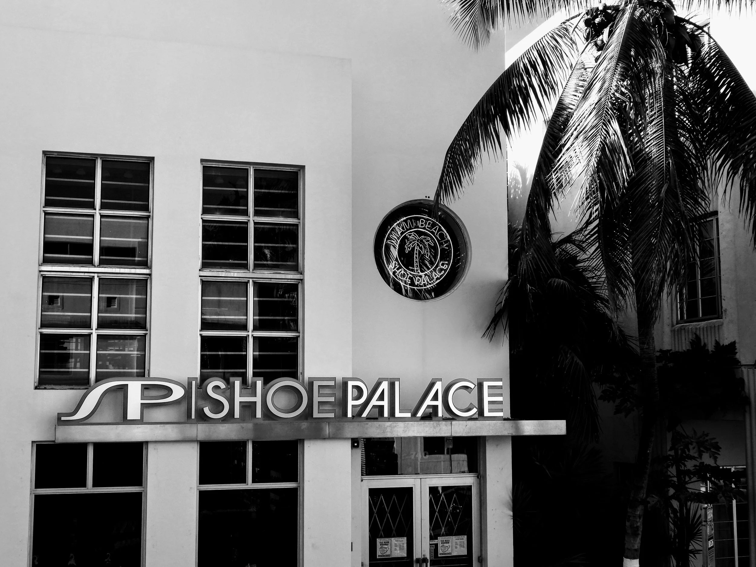 Downtown Miami Florida by MychaelX.photos 000041.JPG