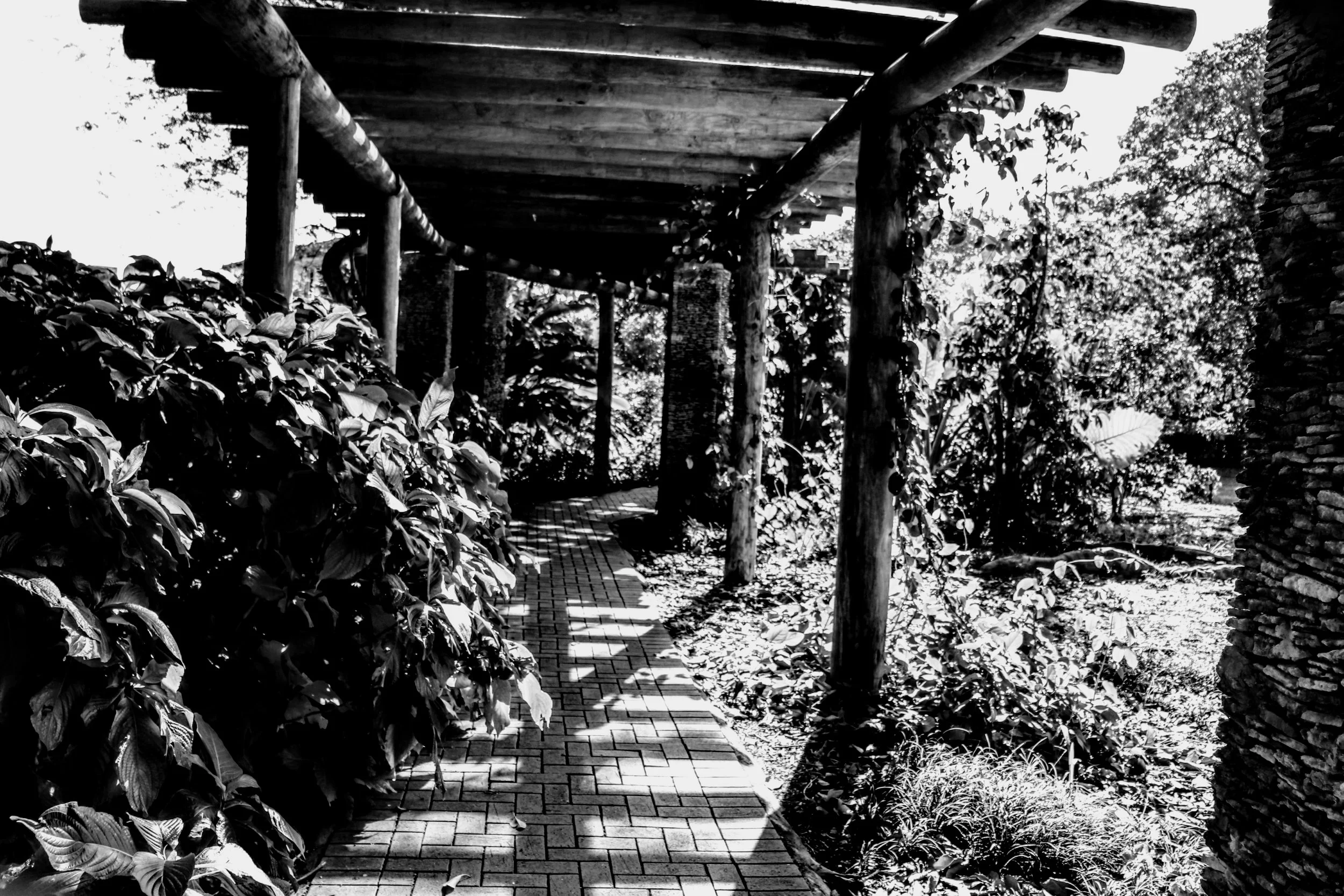 Tropical Botanic Garden by MychaelX.photos  209.JPG