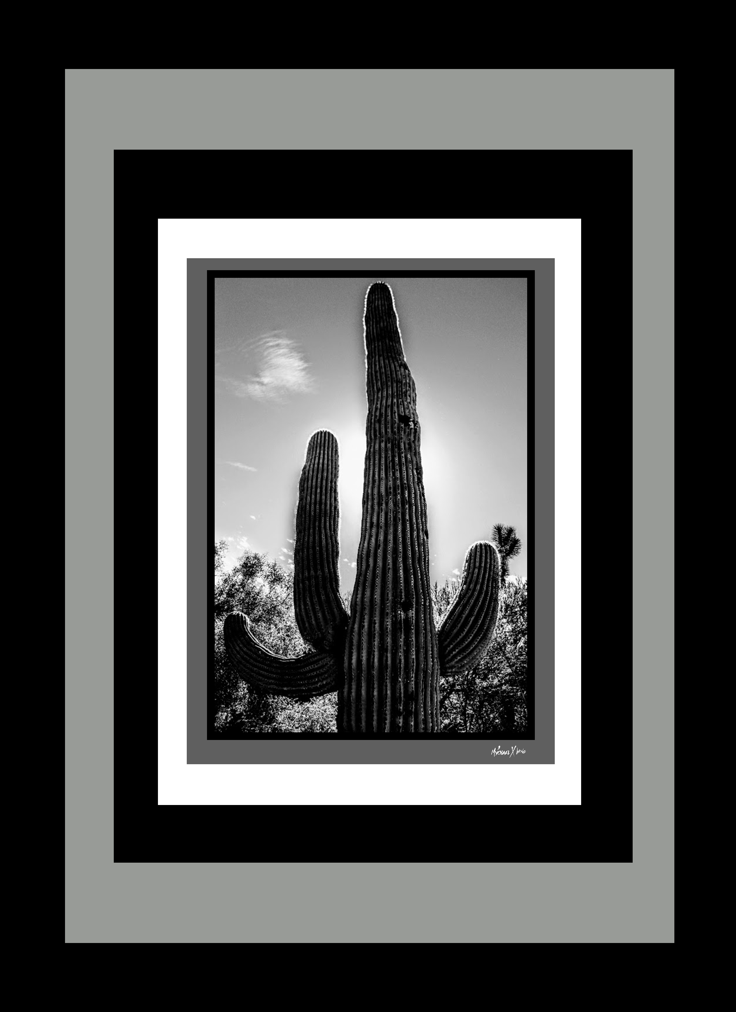 Mychael Xcatcus Hortizal 1.png